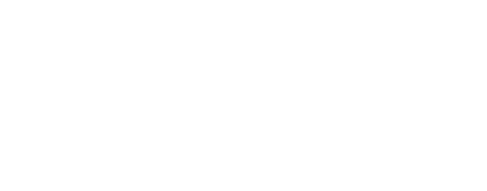 White stylized silver fern leaf above bold All Blacks text on black background.