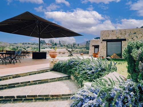 EJ · Wine Tasting Experience at Roman Castles Winery - Cantina Imperatori - Group 1
