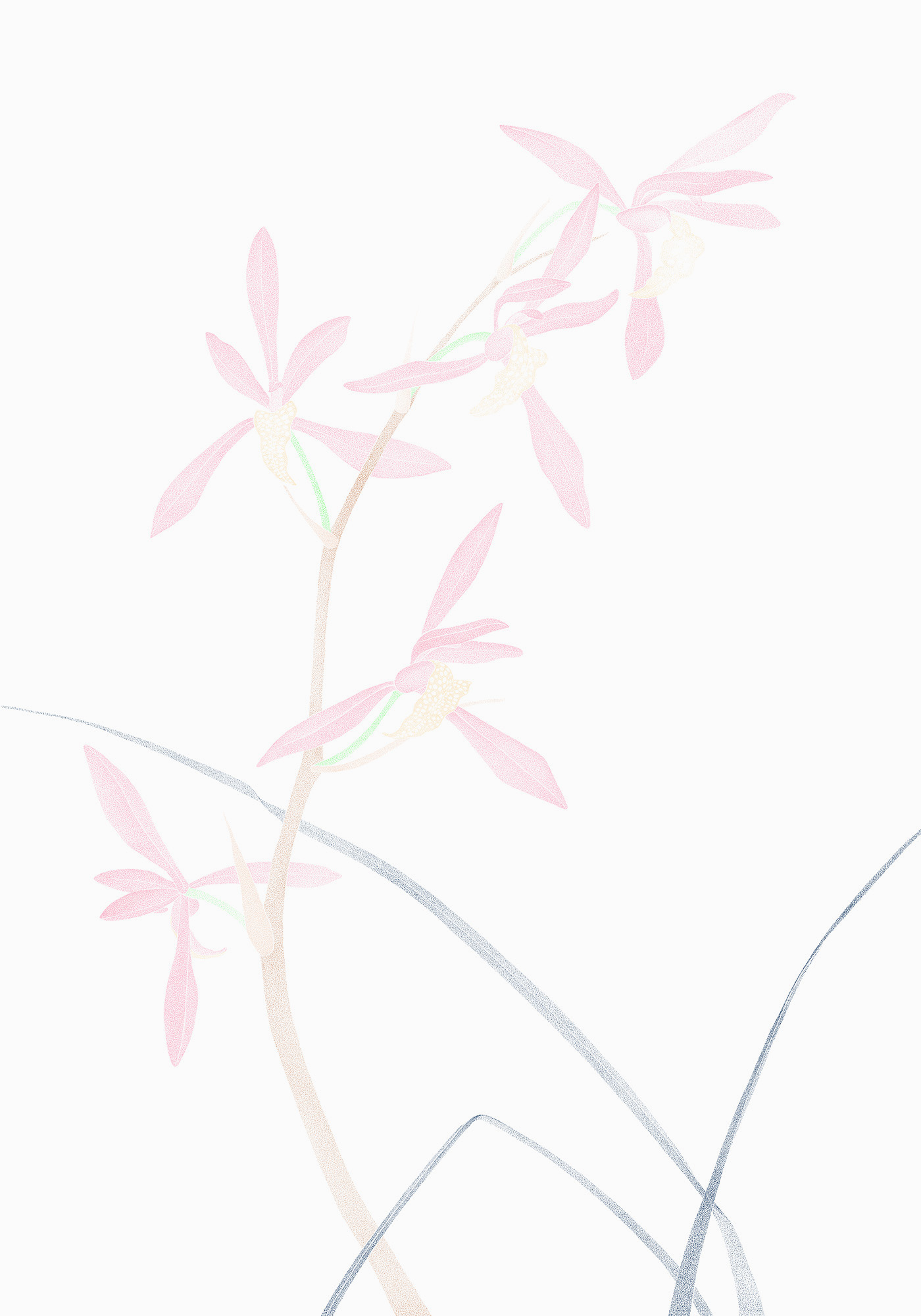 Chinese Orchid (Homage to Ma Lin) (c)