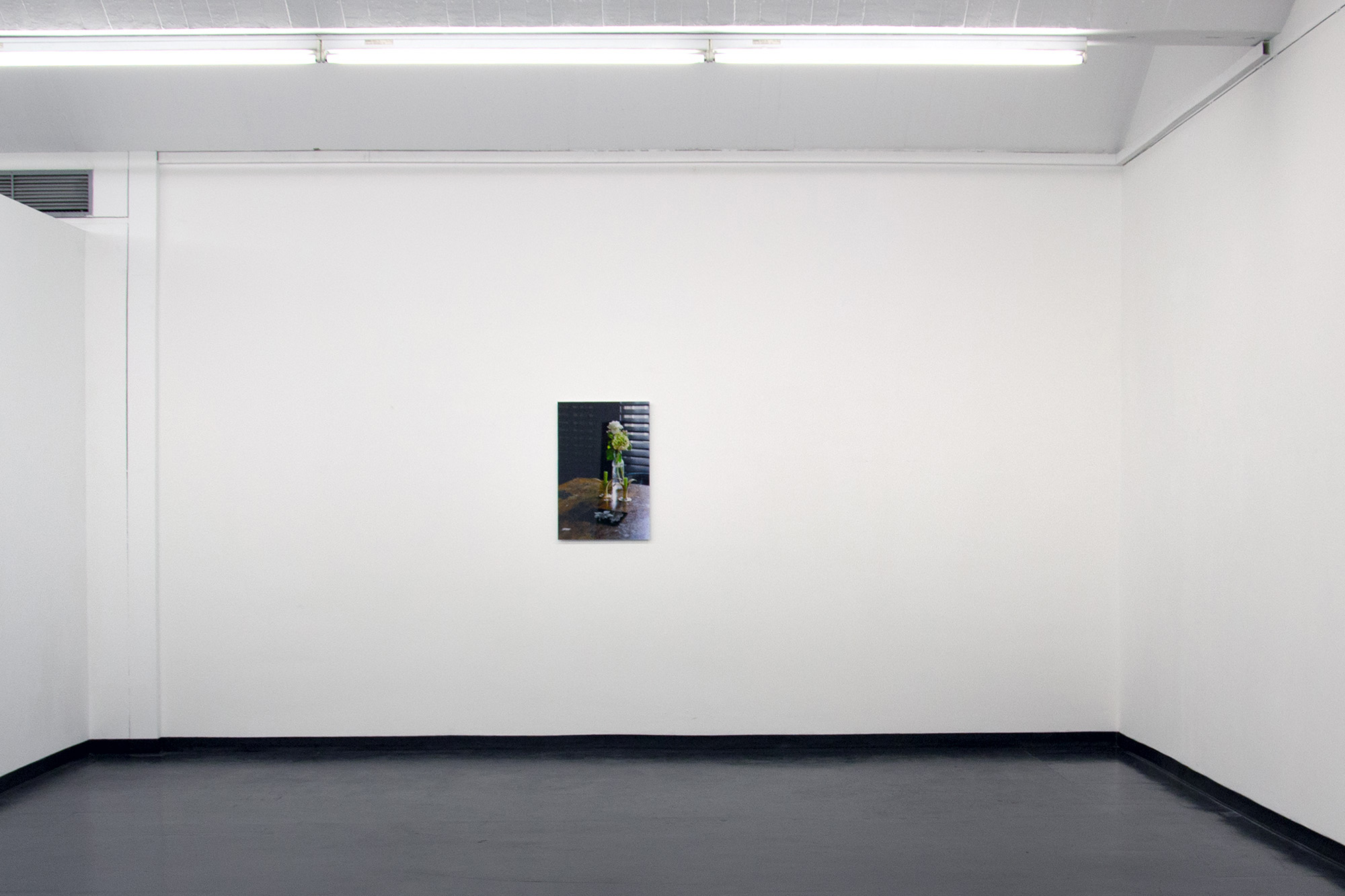 The photomontage "'Vanda Miss Joaquim (2)' on Daniel's Kitchen Table, Munich 2014" at the Institut für moderne Kunst, Nuremberg 2015