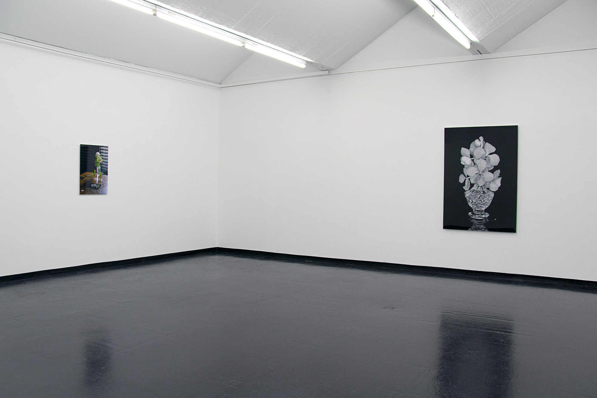 The photomontage "'Vanda Miss Joaquim (2)' on Daniel's Kitchen Table, Munich 2014" and the archival print "Vanda coerulea in a crystal vase" at the Institut für moderne Kunst, Nuremberg 2015