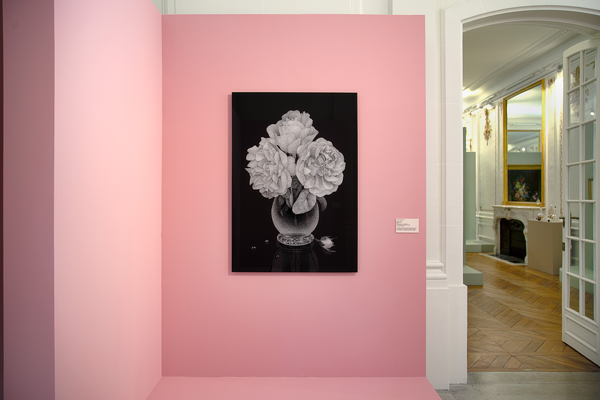 Roses & pivoines. Pierre-Joseph Redouté | Thilo Westermann, installation shot 1