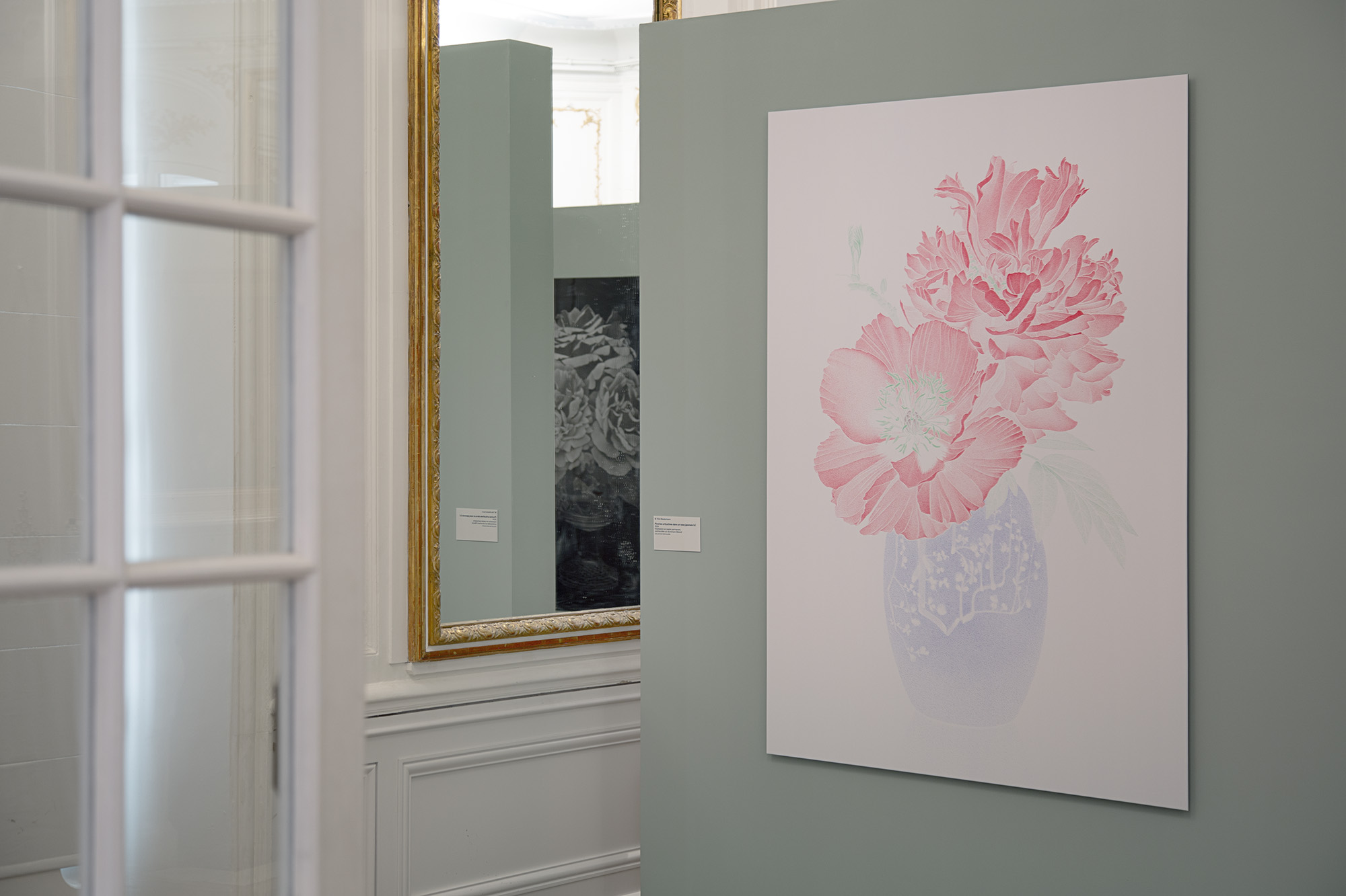 Roses & pivoines. Pierre-Joseph Redouté | Thilo Westermann, installation shot 2