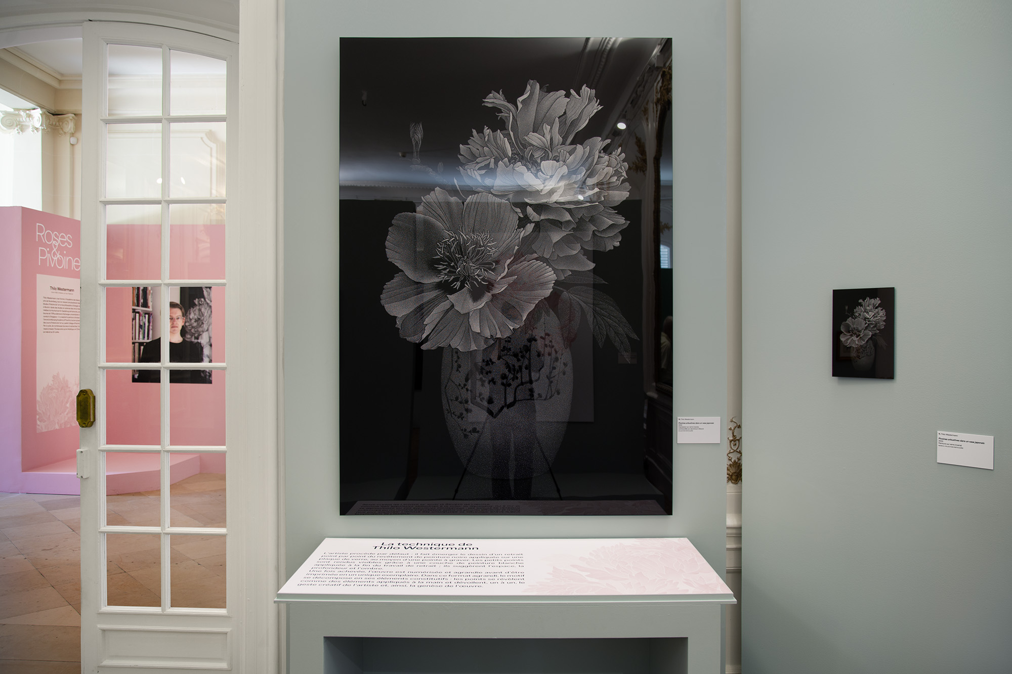 Roses & pivoines. Pierre-Joseph Redouté | Thilo Westermann, installation shot 3