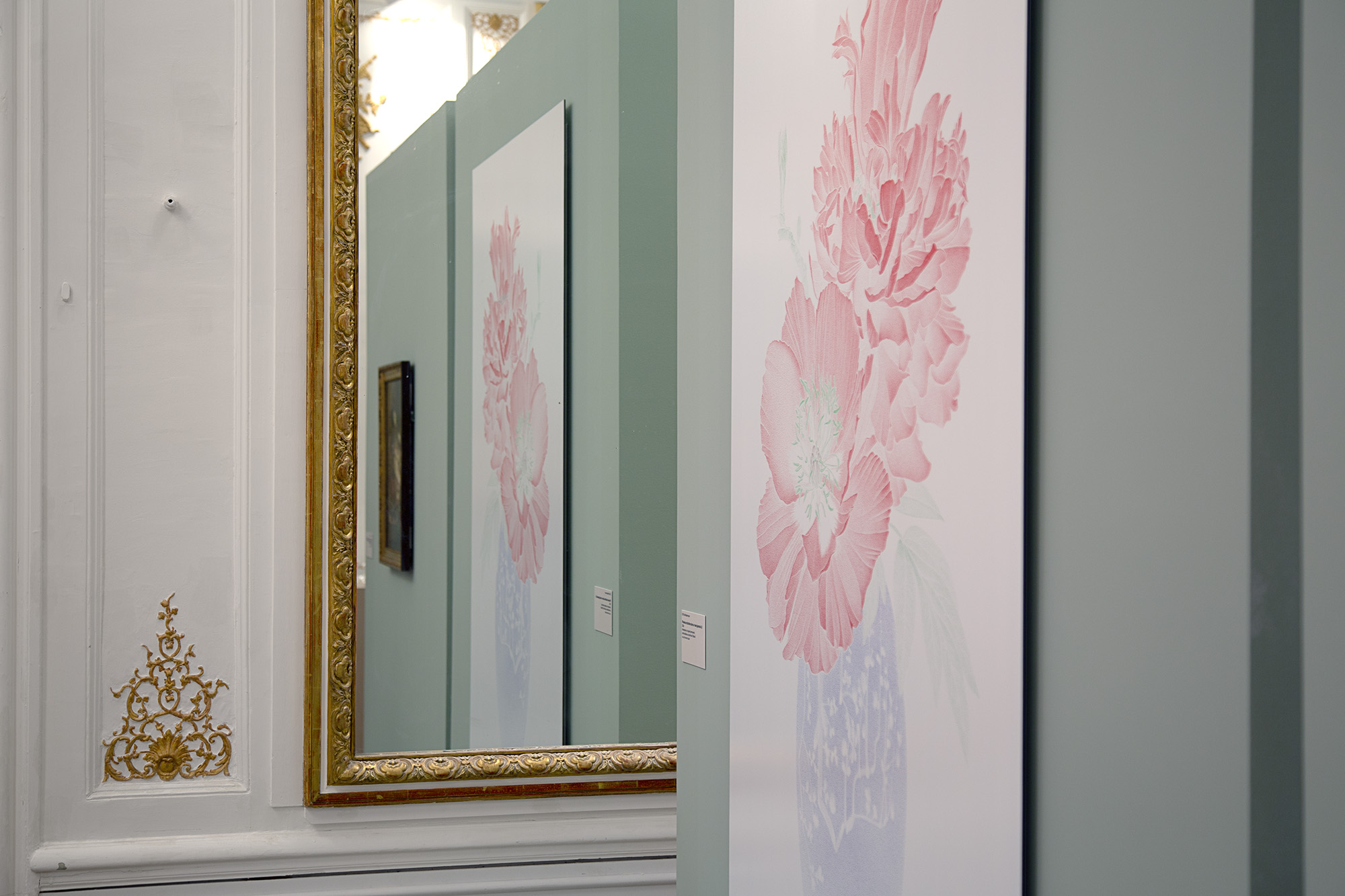 Roses & pivoines. Pierre-Joseph Redouté | Thilo Westermann, installation shot 4