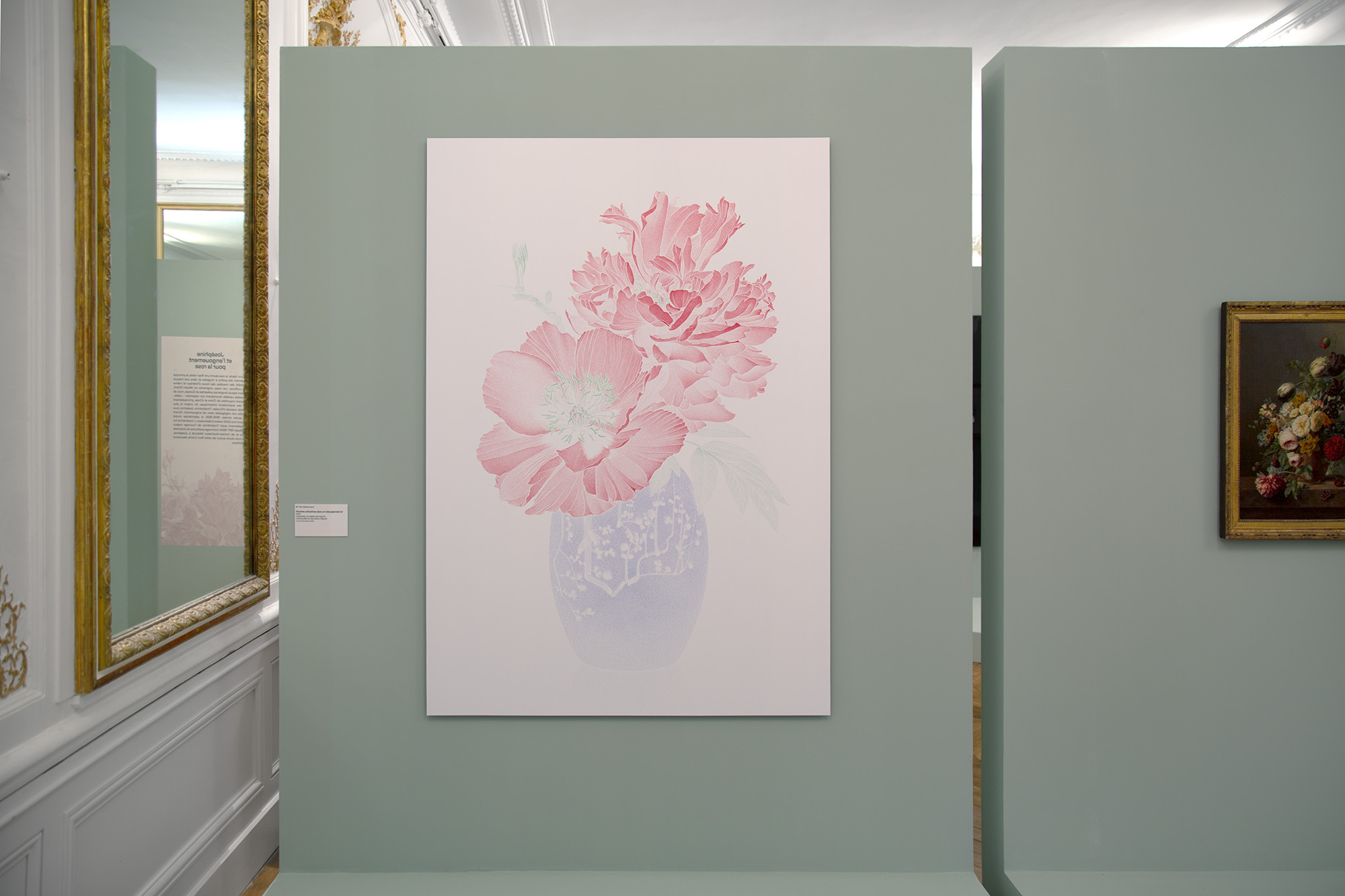 Roses & pivoines. Pierre-Joseph Redouté | Thilo Westermann, installation shot 5