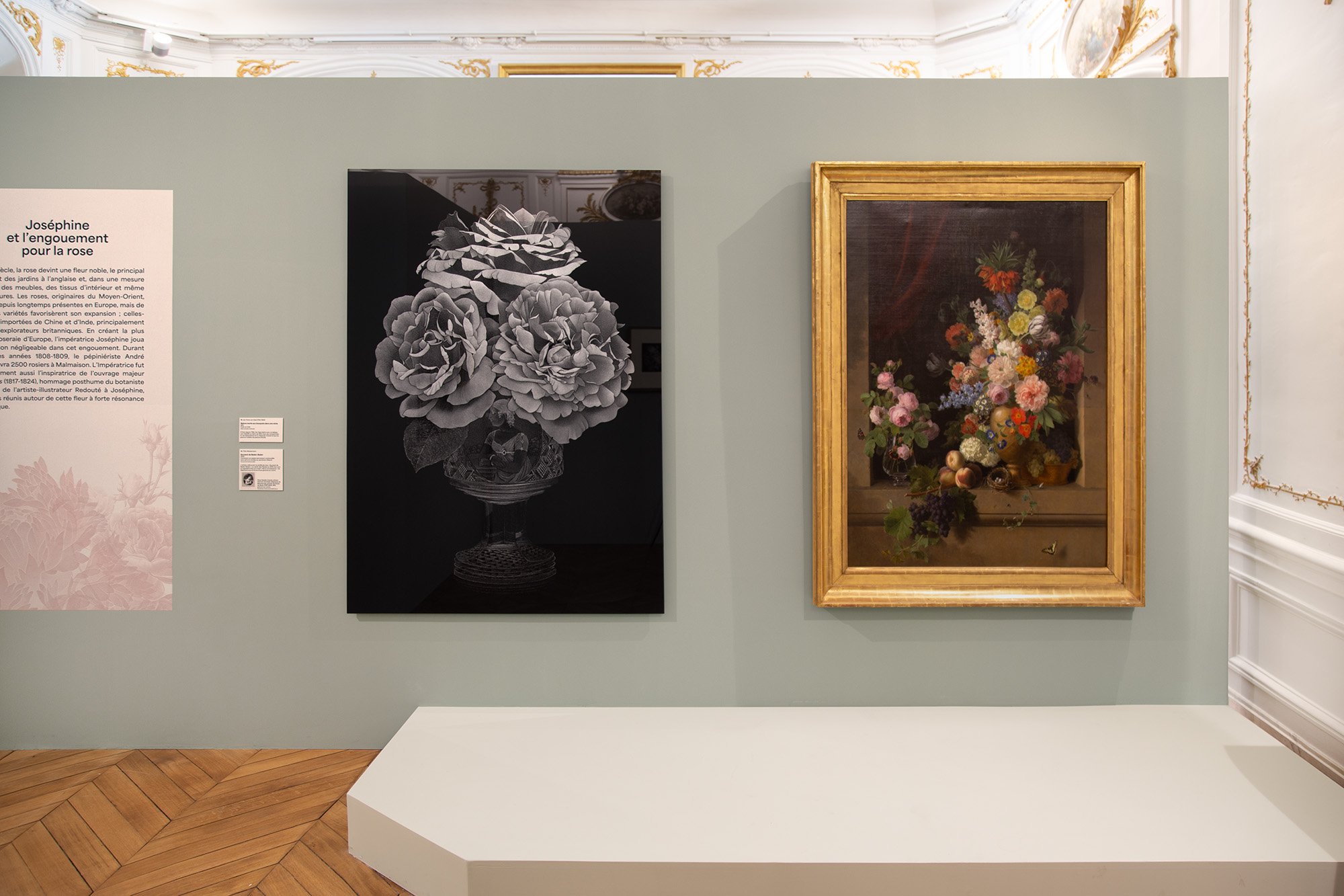 Roses & pivoines. Pierre-Joseph Redouté | Thilo Westermann, installation shot 7