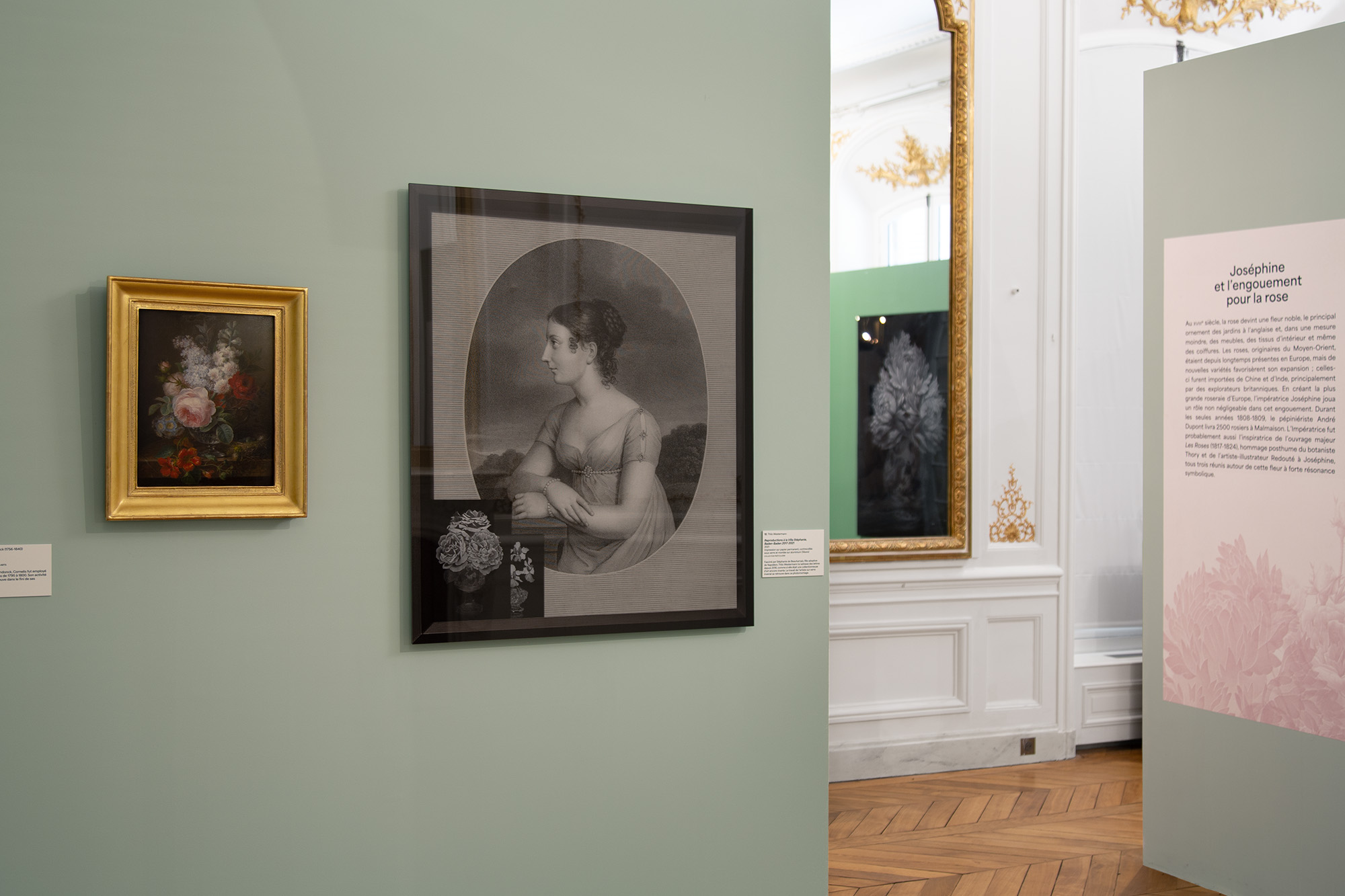 Roses & pivoines. Pierre-Joseph Redouté | Thilo Westermann, installation shot 9