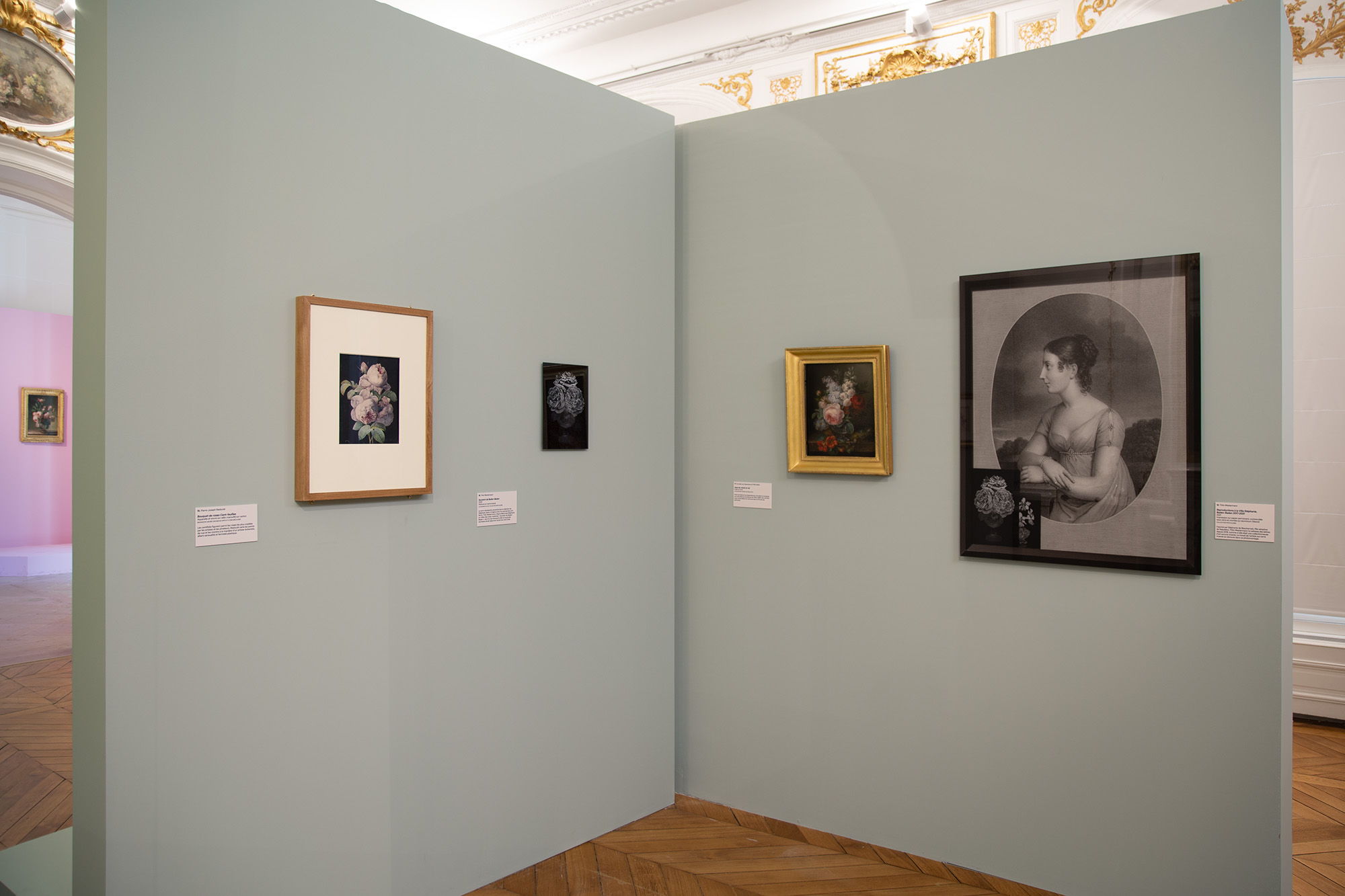 Roses & pivoines. Pierre-Joseph Redouté | Thilo Westermann, installation shot 10