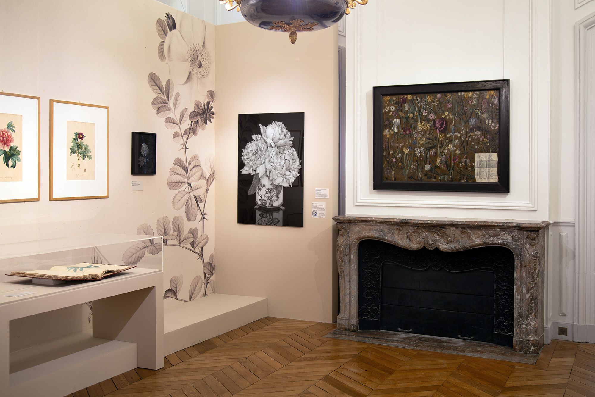 Roses & pivoines. Pierre-Joseph Redouté | Thilo Westermann, installation shot 14