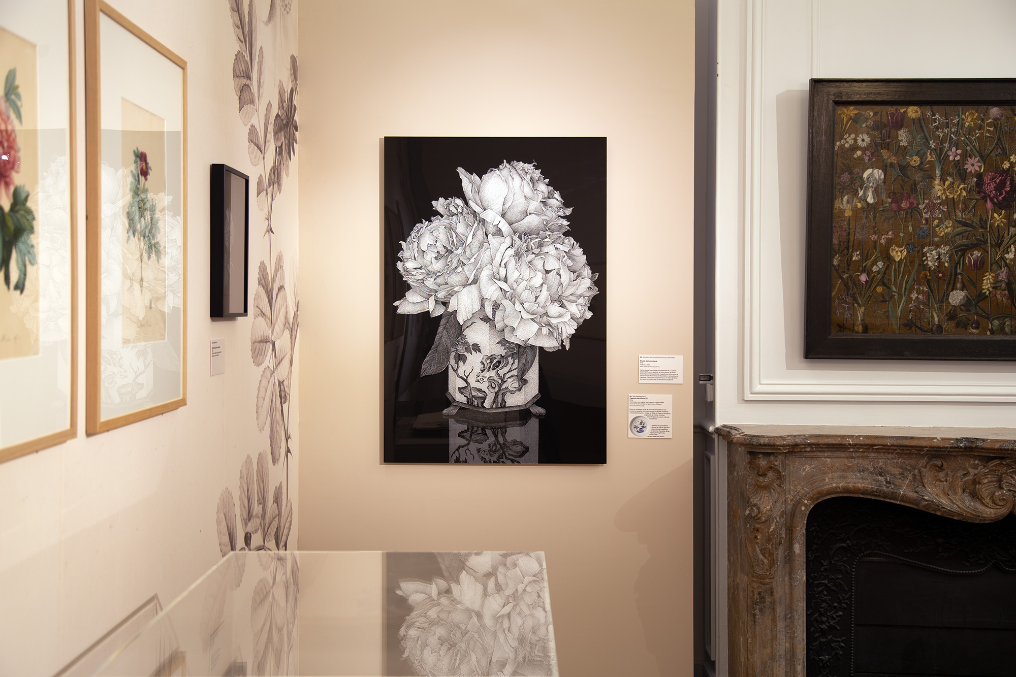Roses & pivoines. Pierre-Joseph Redouté | Thilo Westermann, installation shot 15