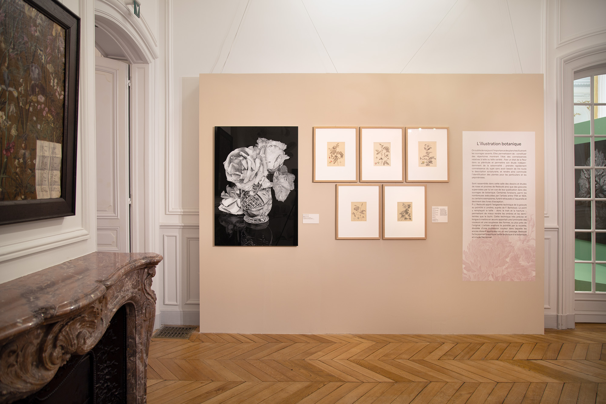 Roses & pivoines. Pierre-Joseph Redouté | Thilo Westermann, installation shot 16