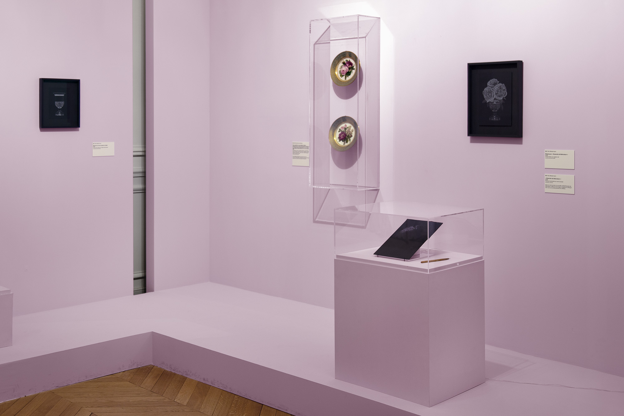 Roses & pivoines. Pierre-Joseph Redouté | Thilo Westermann, installation shot 17