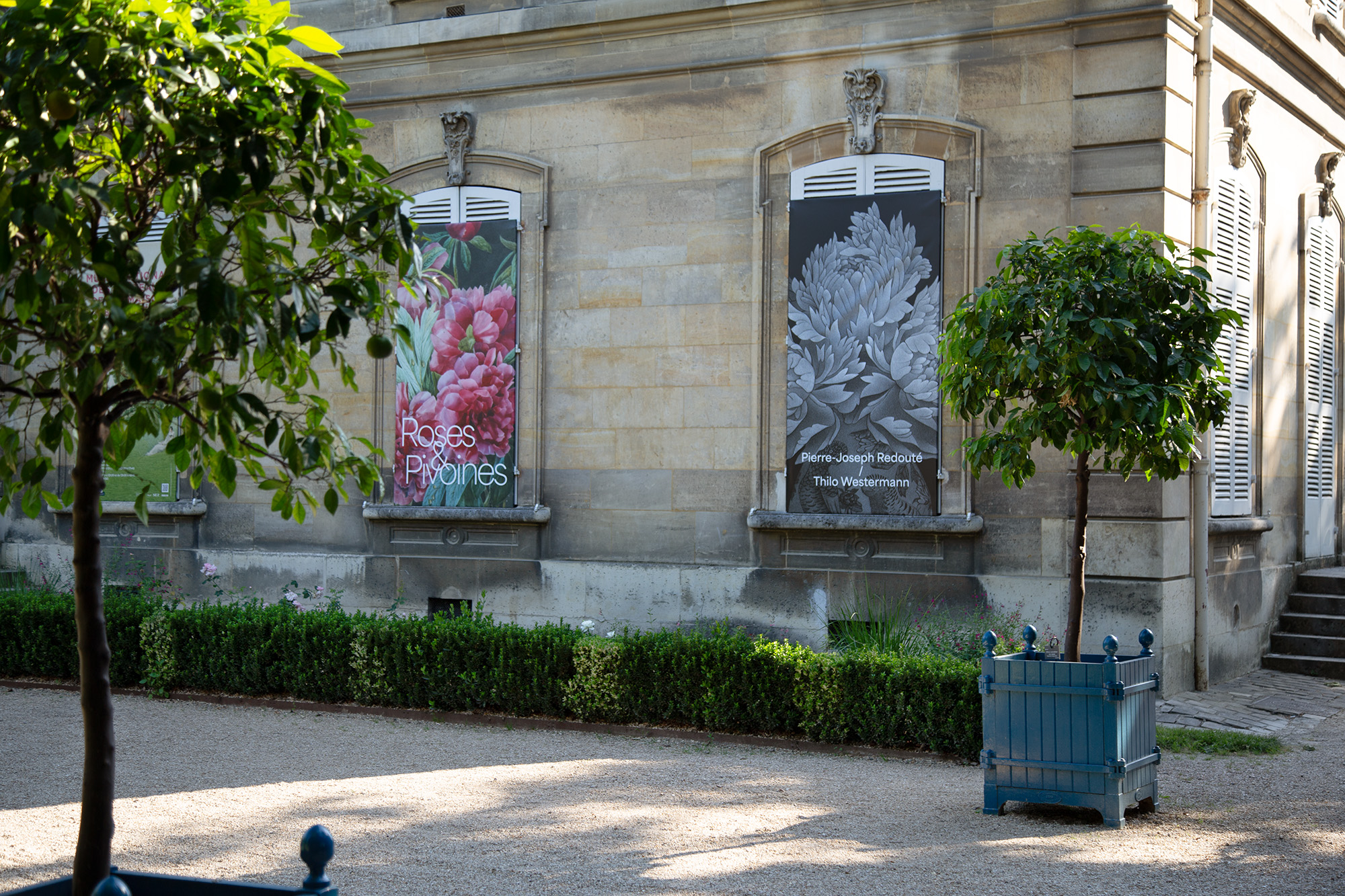 Roses & pivoines. Pierre-Joseph Redouté | Thilo Westermann, installation shot 21