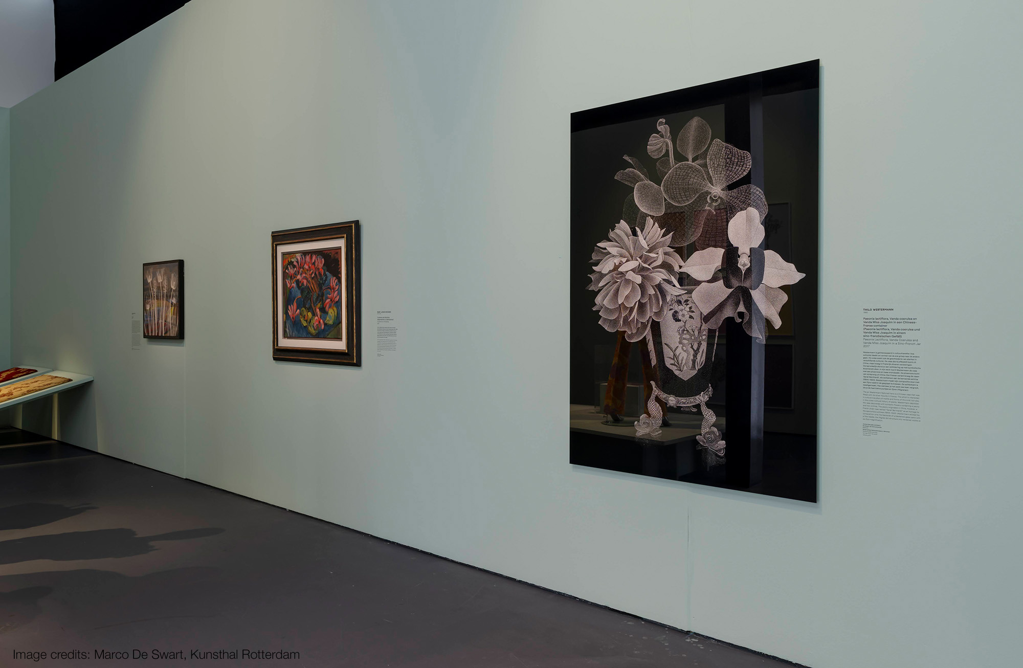 Thilo Westermann Kunsthal Rotterdam Flowers Forever 2