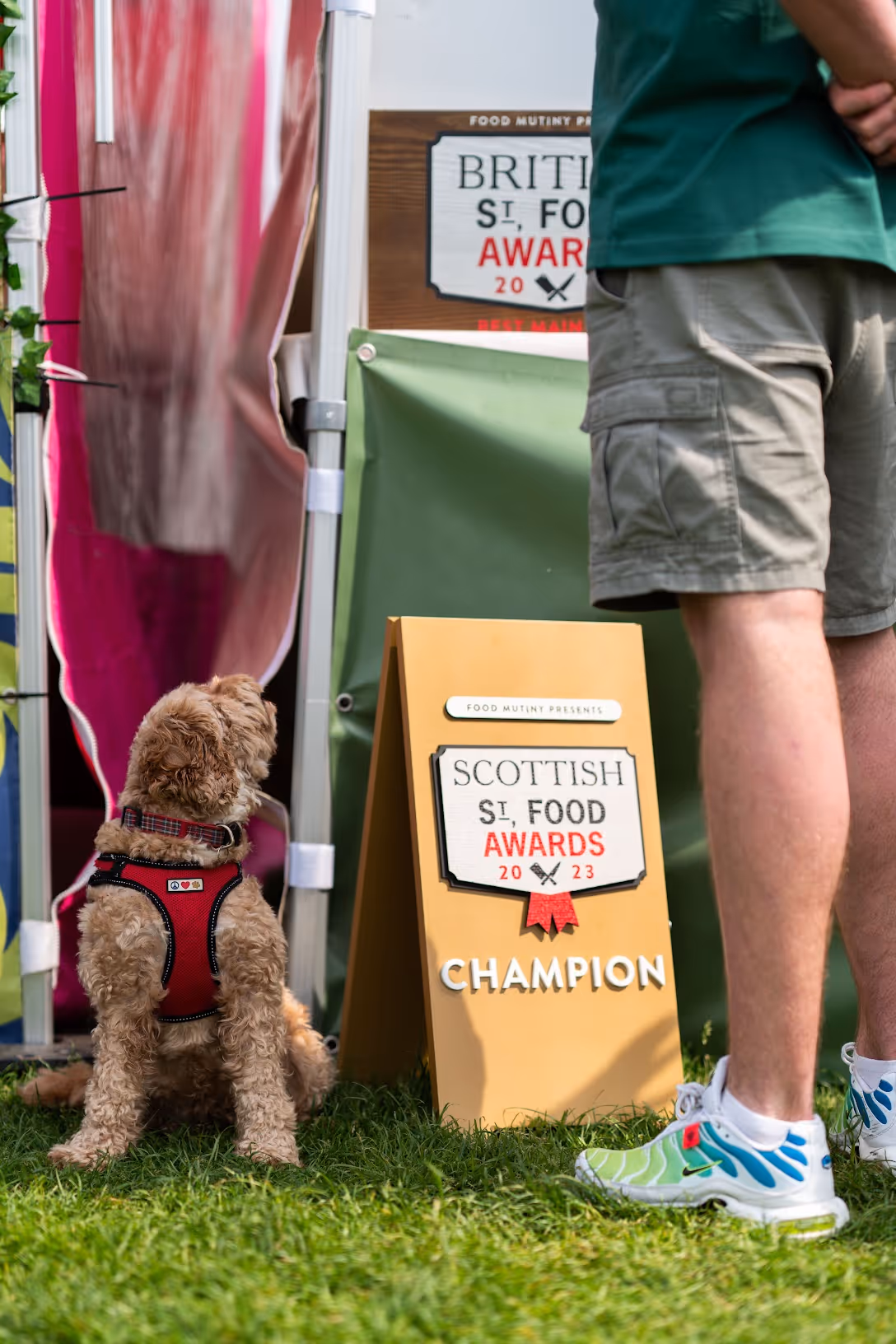 A dog standing next to a sign that says Scottish Street Food Awards 2023 Champions