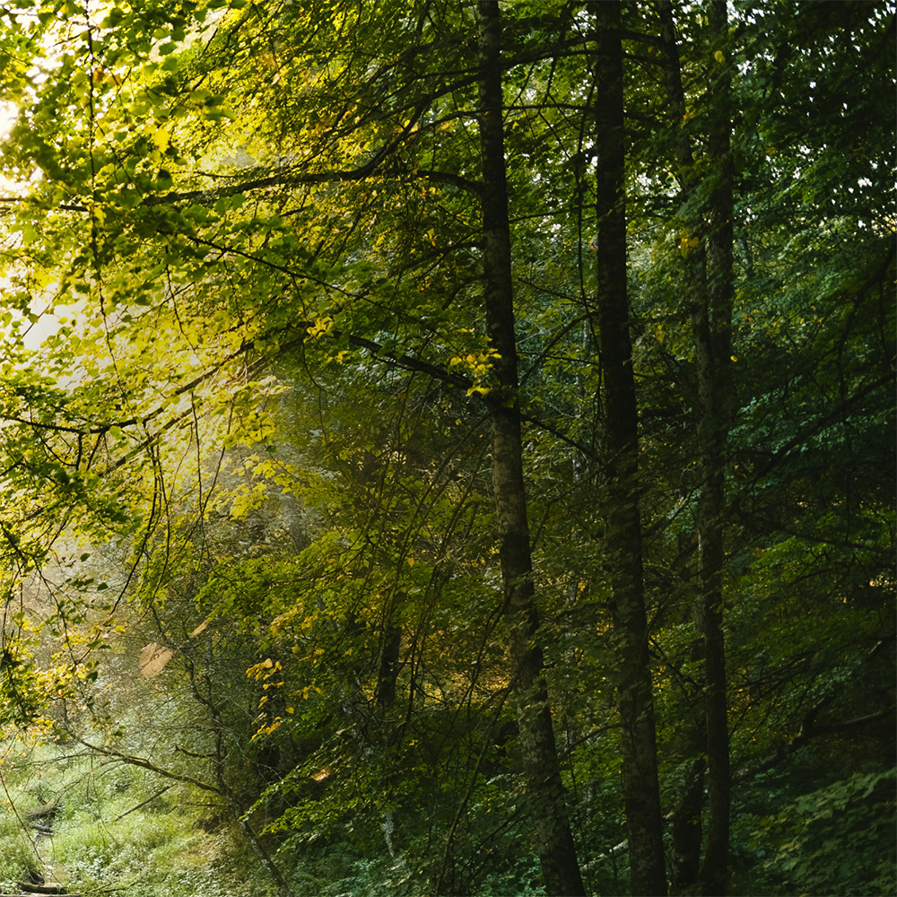 Find your daily awe.