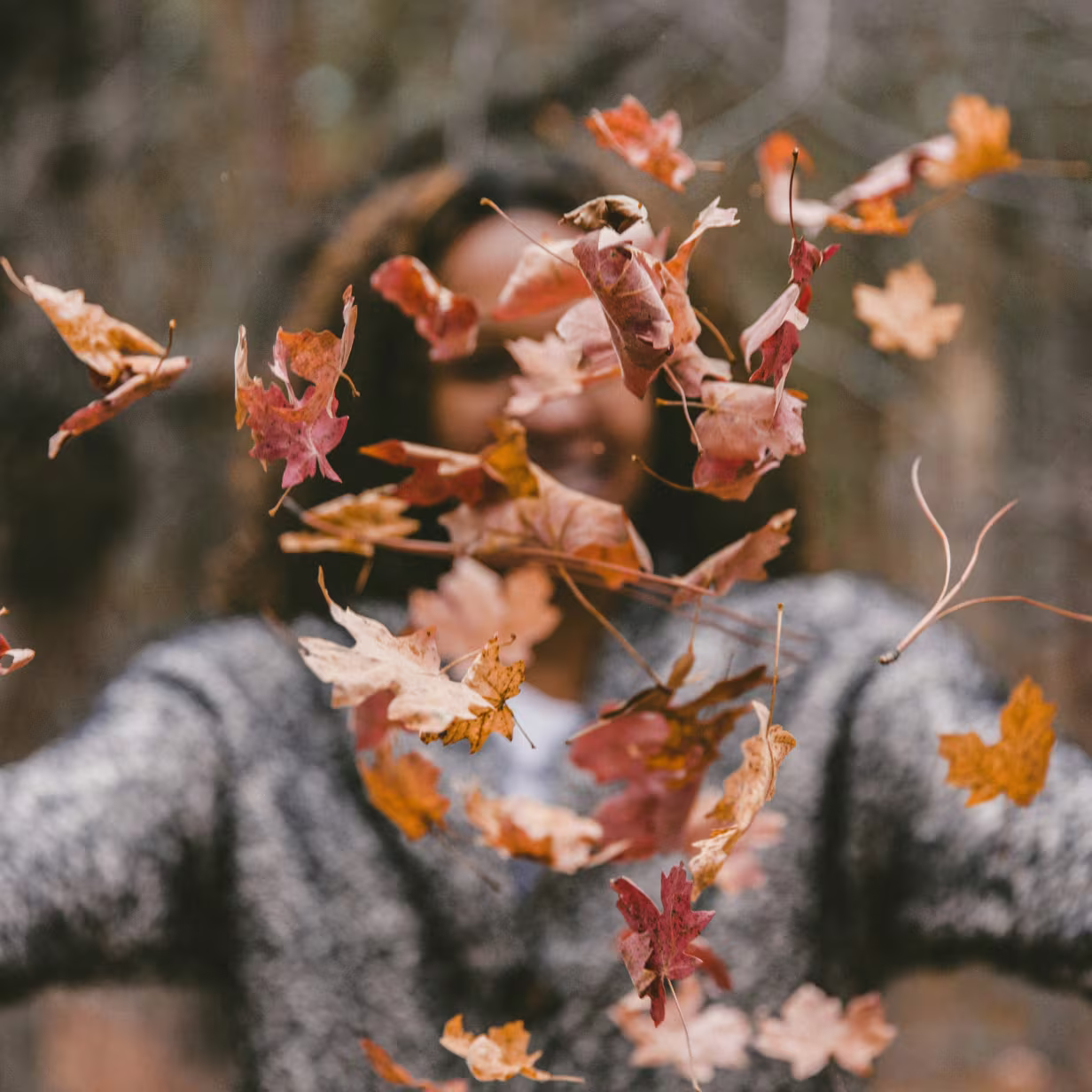 A person wearing a gray sweater is blurred in the background while throwing a handful of autumn leaves toward the camera. The brown, orange, and red leaves are sharply in focus, appearing suspended in midair.