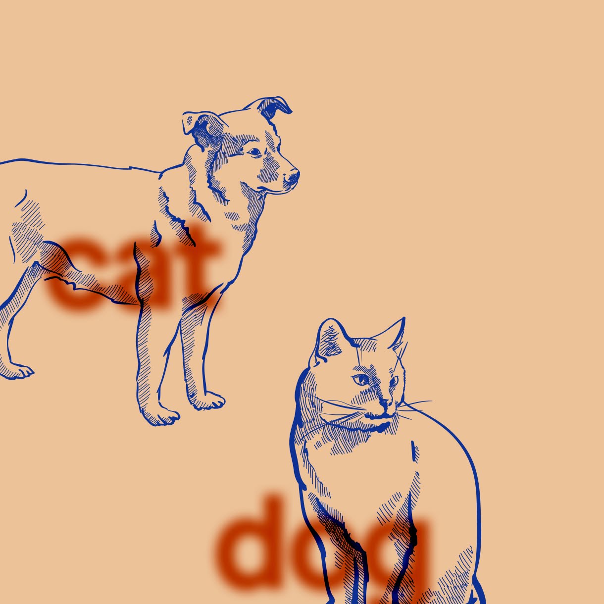 Blue line drawing of a standing dog and seated cat on a peach background, with blurred orange words “cat” and “dog” behind them.