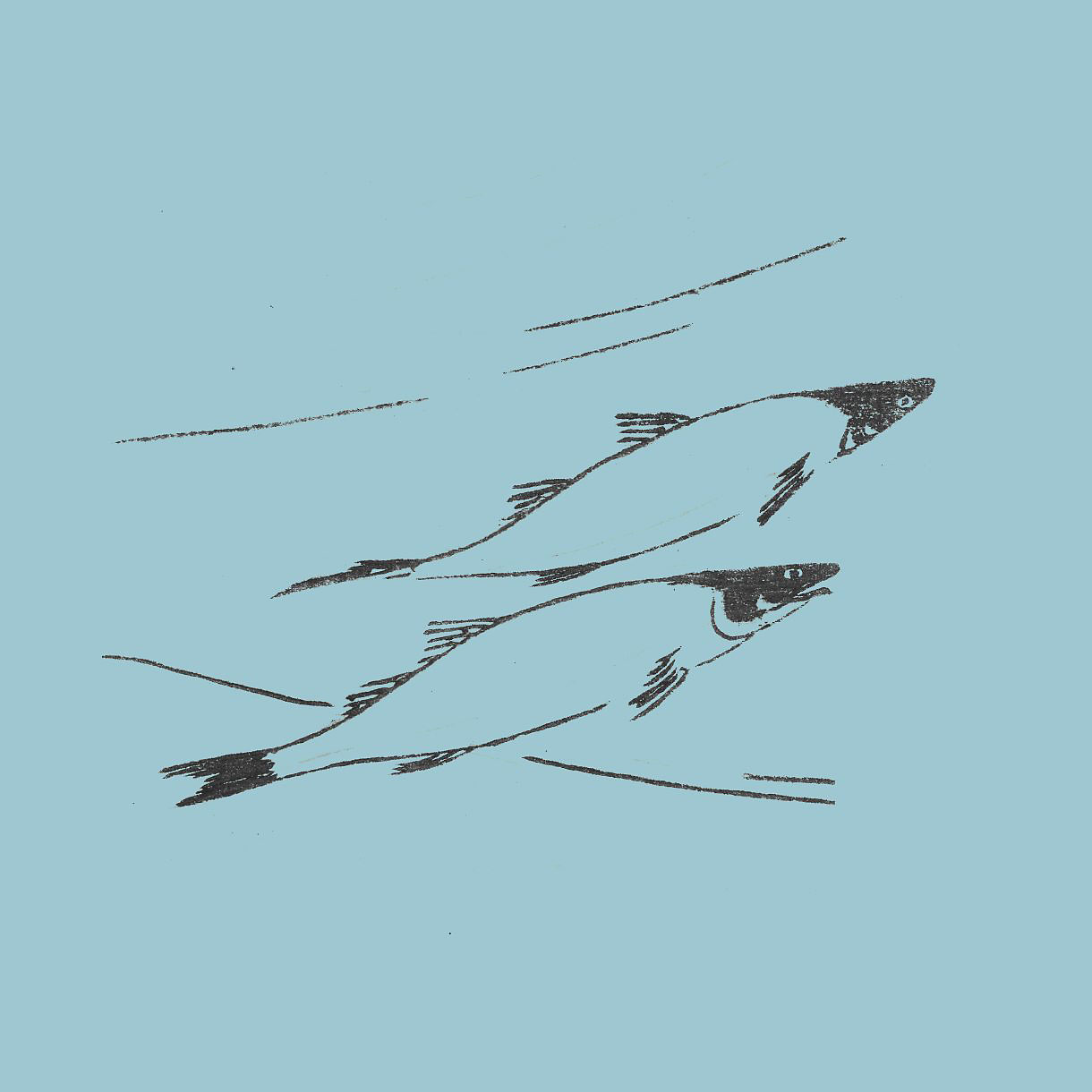 A simple black line drawing of two fish swimming to the right on a pale blue background, with a few curved lines suggesting water.