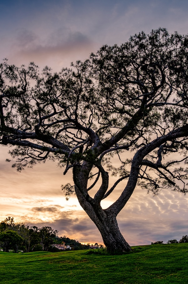 Sunset near the lake at PVGC