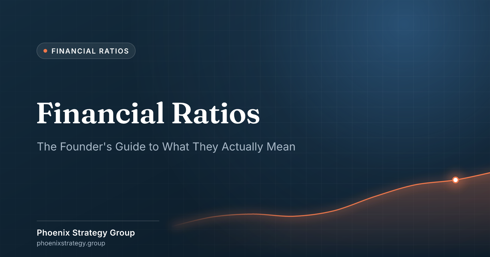Financial Ratios: The Founder's Guide to What They Actually Mean