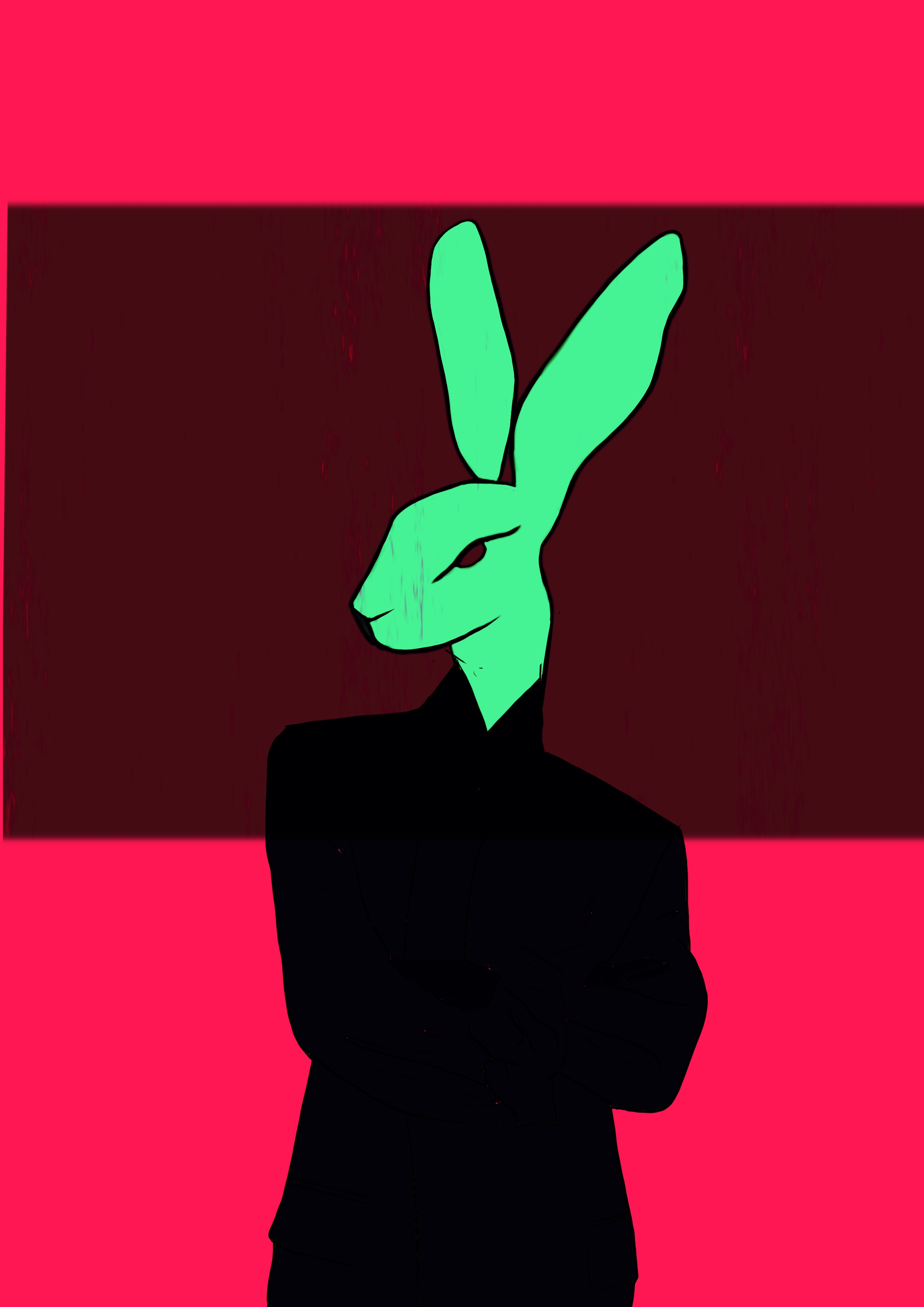 Rabbit year
