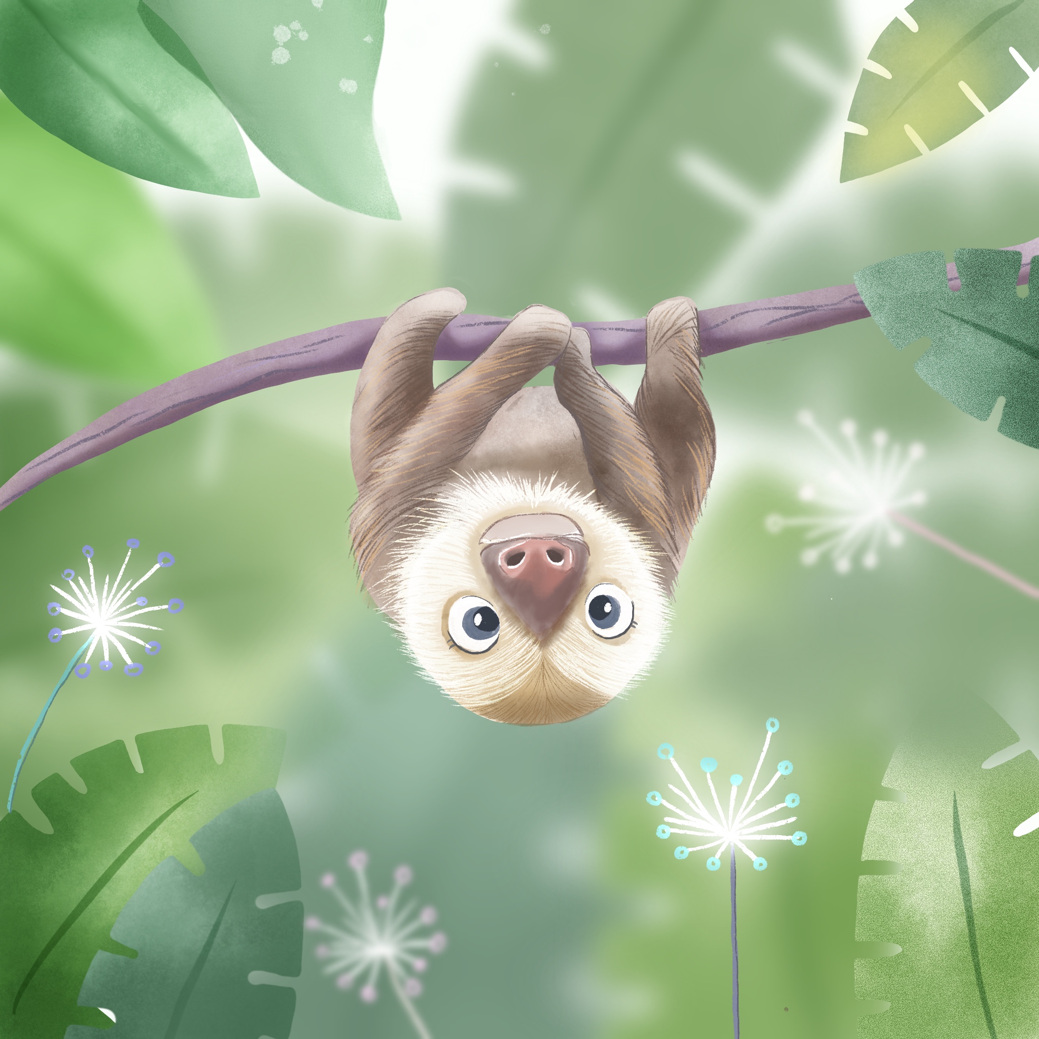 Baby sloth