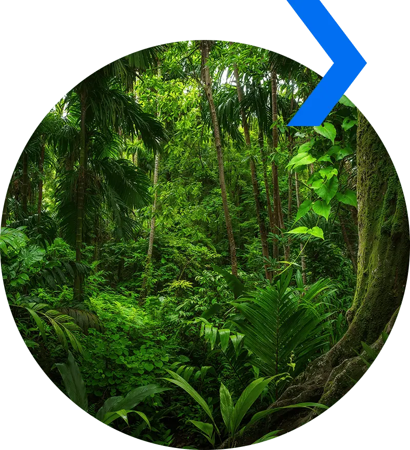 Science Based Targets logo