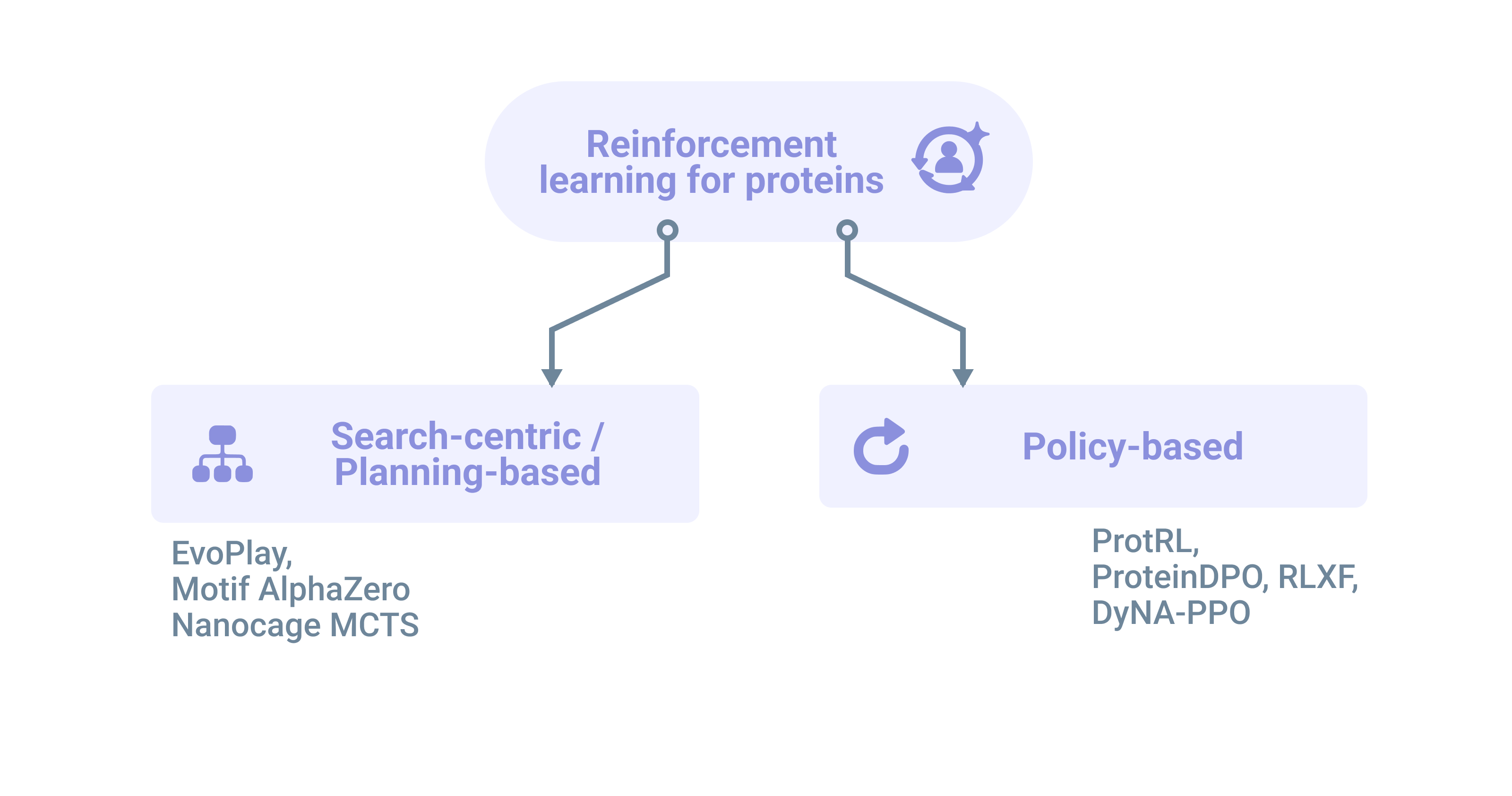 The two main RL for proteins categories and model examples.