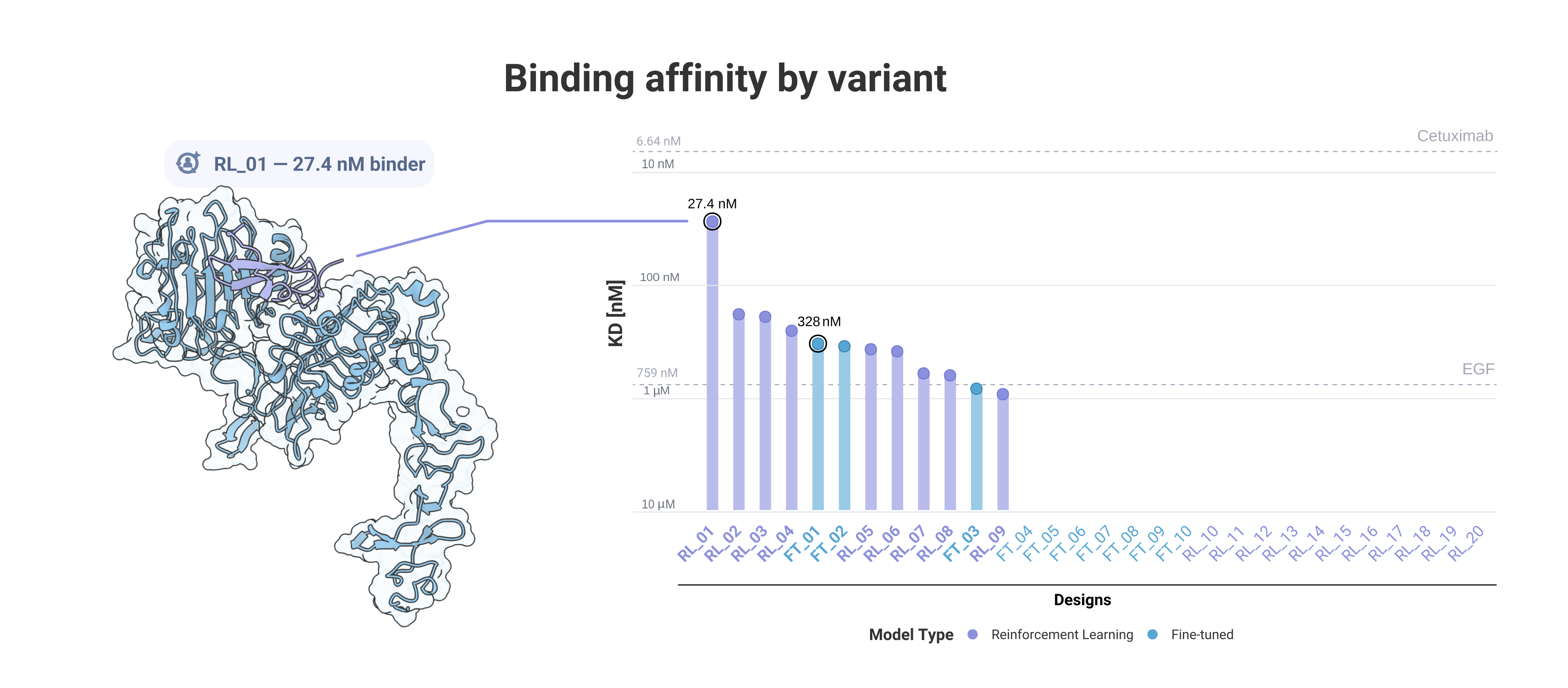 EGFR binders submitted to the Protein Design Competition using a fine-tuning (FT) method (blue) versus a subsequent ProtRL campaign (purple). Whereas 3 initial FT designs were binders, the RL campaign yielded 9/20 binders (45% hit-rate). The highest affinity binder was achieved with the RL method, at a