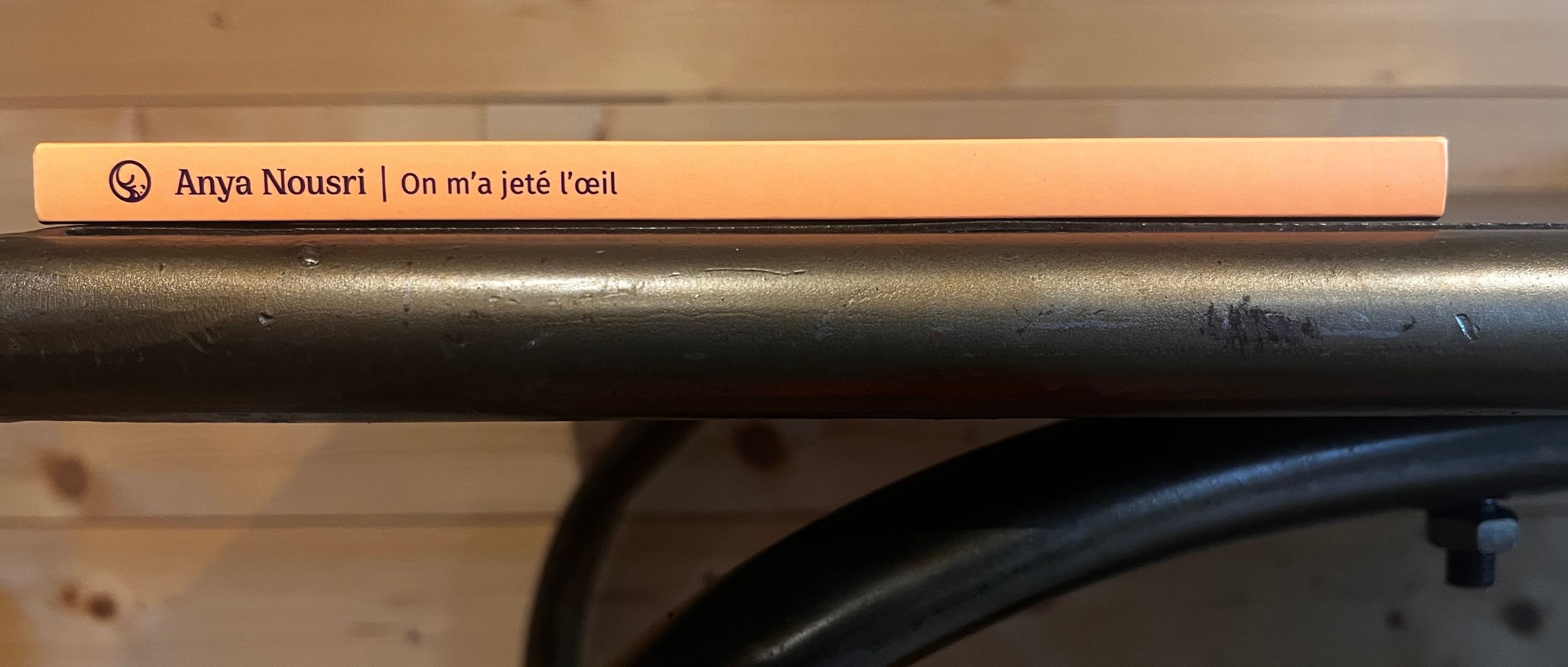 [INTERVIEW] Anya Nousri : "Il s’agit d’un livre porté par des femmes"