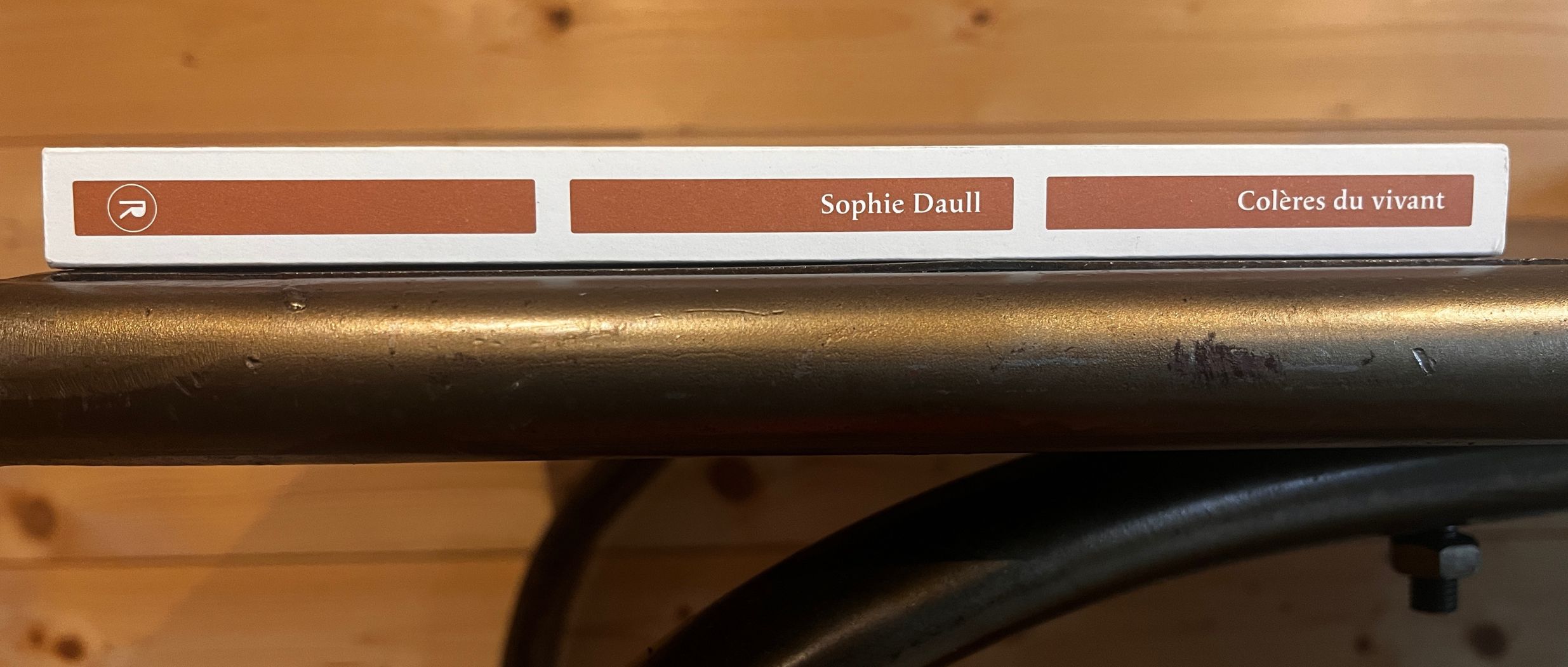 [INTERVIEW] Sophie Daull : "Je voulais que le lecteur sente la boue sous ses semelles et le jus des mûres sur ses doigts"