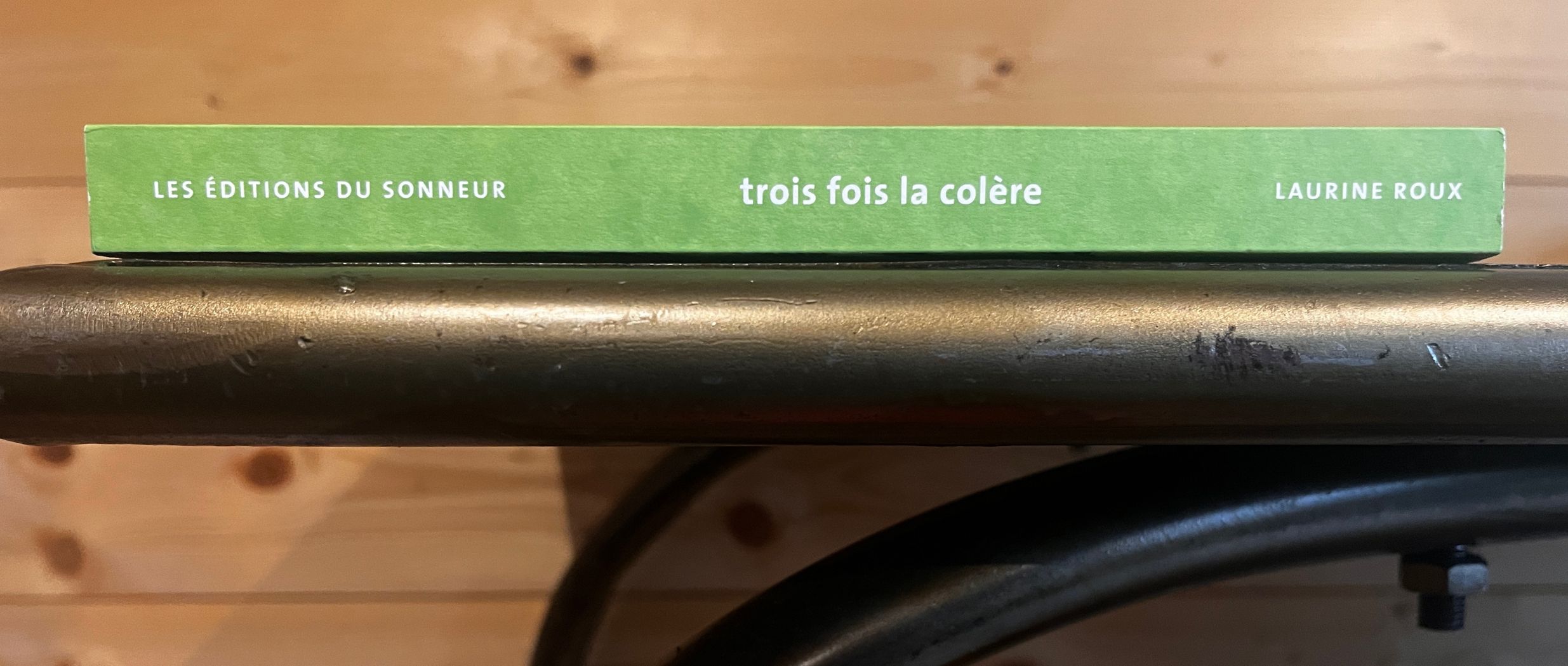 [INTERVIEW] Laurine Roux : "Le Moyen-Âge  renvoie à nos dysfonctionnements actuels par une sorte d’effet loupe"