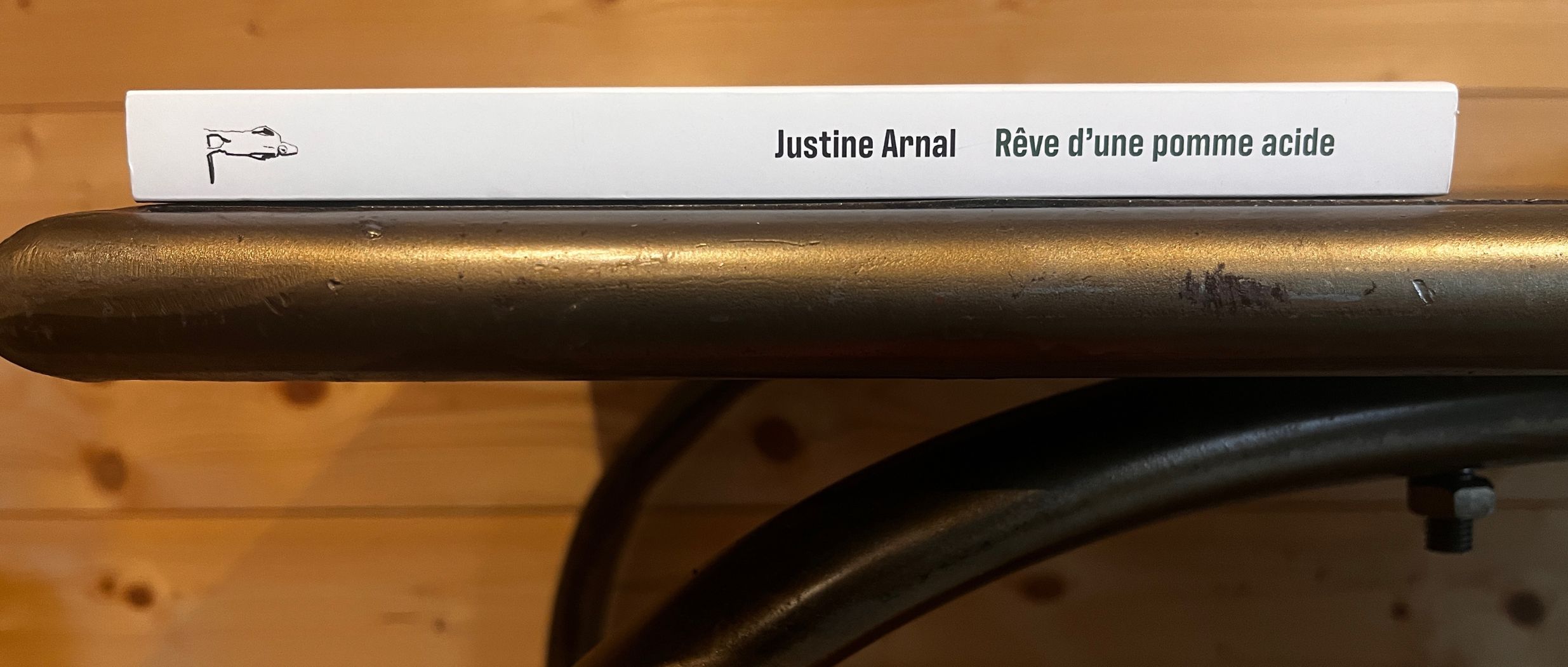 [INTERVIEW] Justine Arnal : "Mes phrases sont habitées par plusieurs états du moi en train d’écrire"