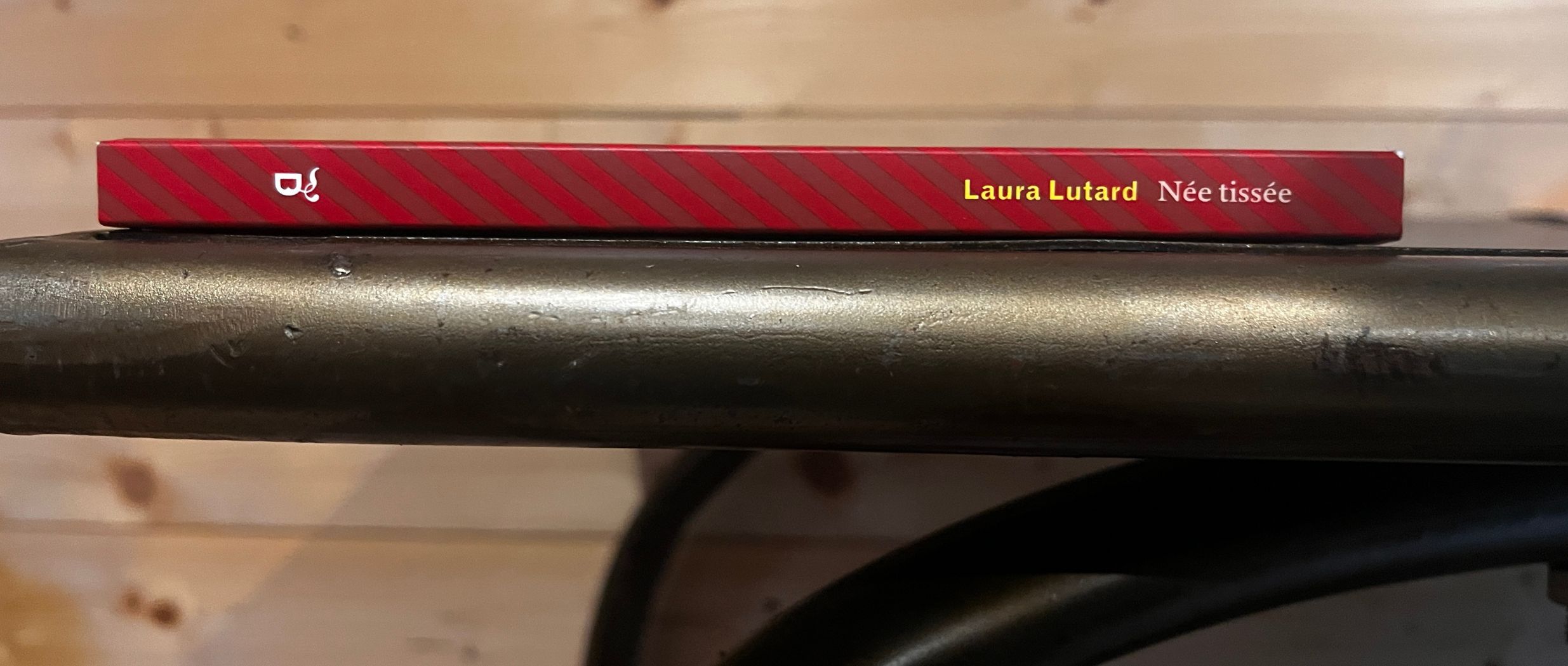 [INTERVIEW] Laura Lutard : " Soudain, le poème est impératif !"