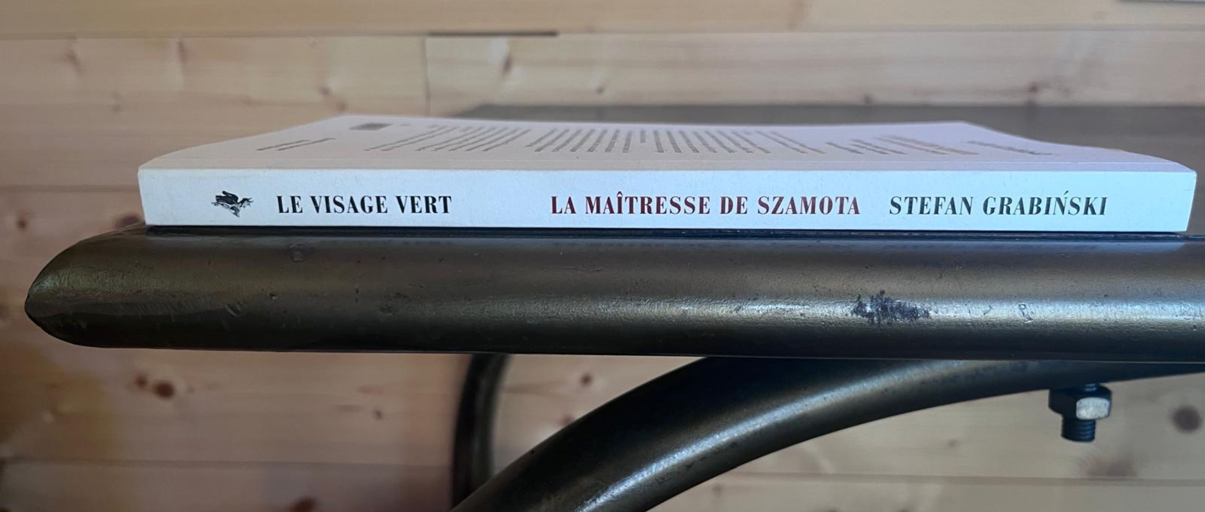 [INTERVIEW] Pierre Van Cutsem : "De nombreux classiques « étrangers » n’ont pas trouvé leur voix dans la langue de Mérimée"