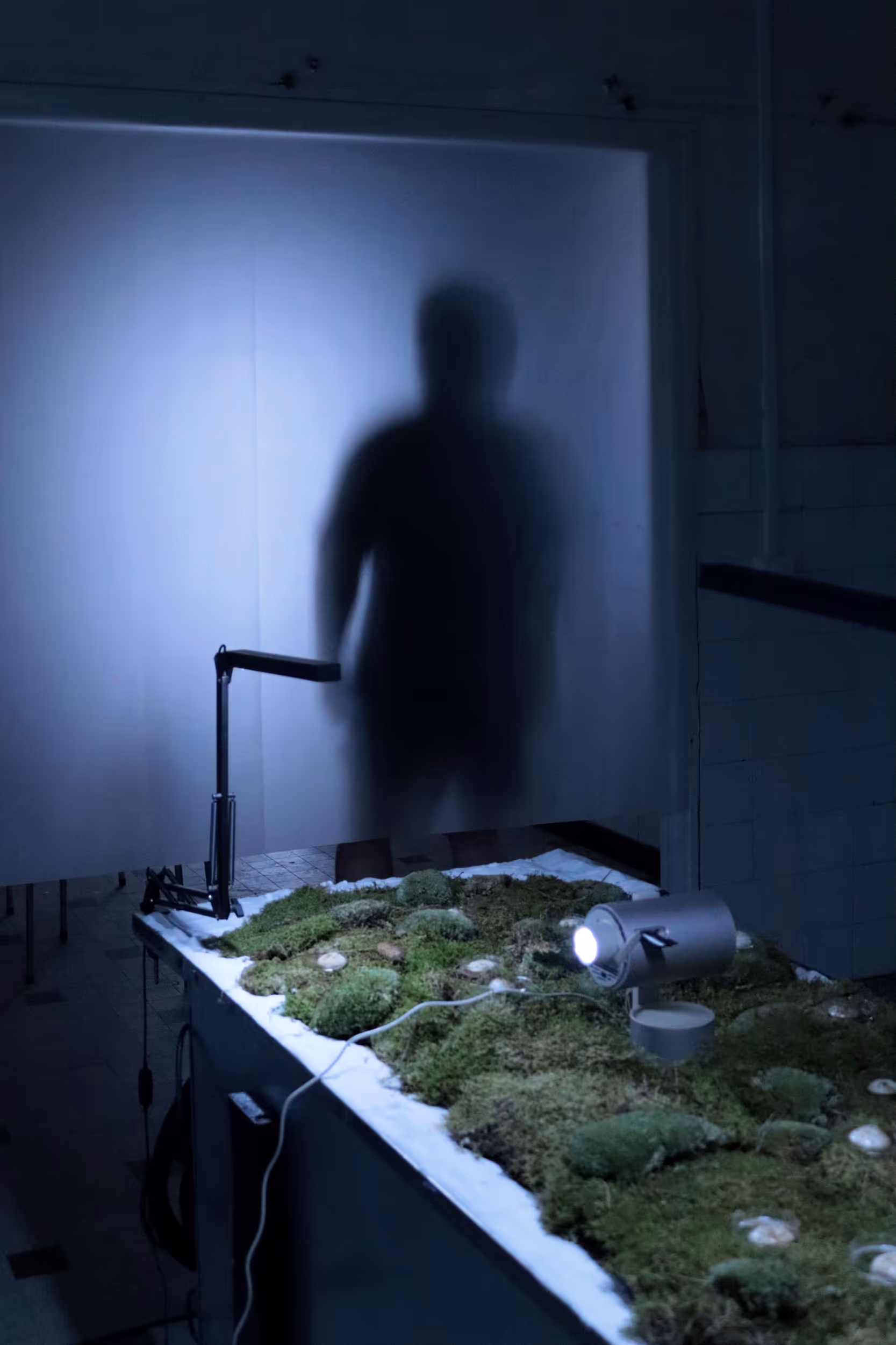 Vue de la table recouverte de mousse, avec en arrière-plan une séparation subtile entre deux espaces : un pan de tissualimentaire semi-transparent découpe la pièce, laissant deviner une silhouette floue ou une forme mystérieuse derrière le voile.