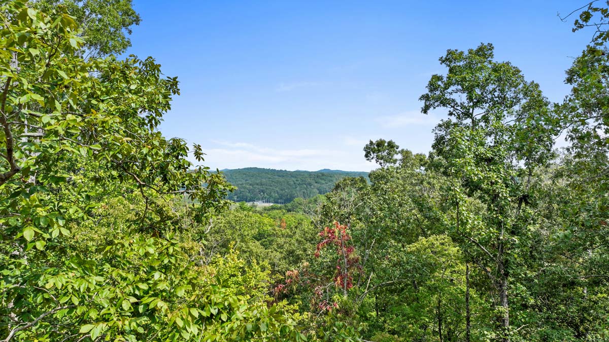 Robert Miller Lane Lot 6B — photo 5