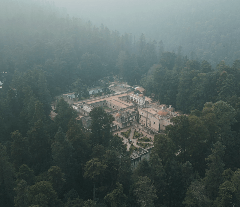 A stylish forest affair where guests met the enchanting embrace of nature.