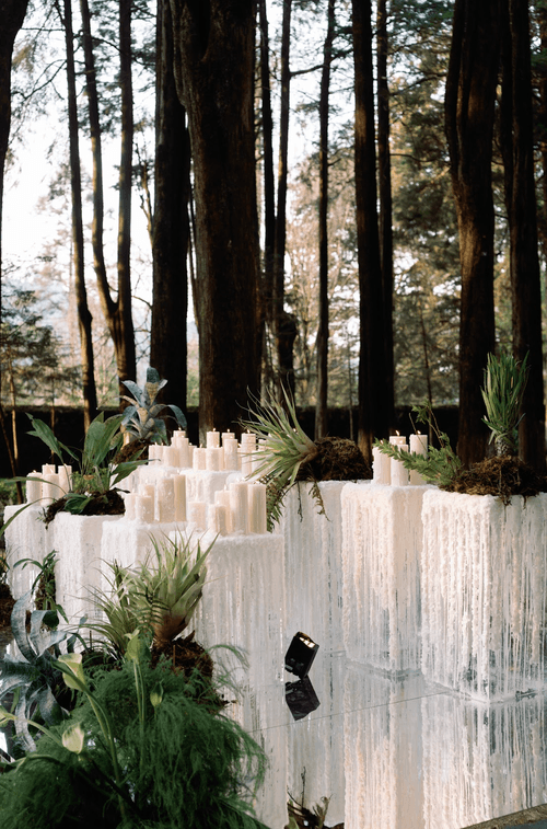 A stylish forest affair where guests met the enchanting embrace of nature.