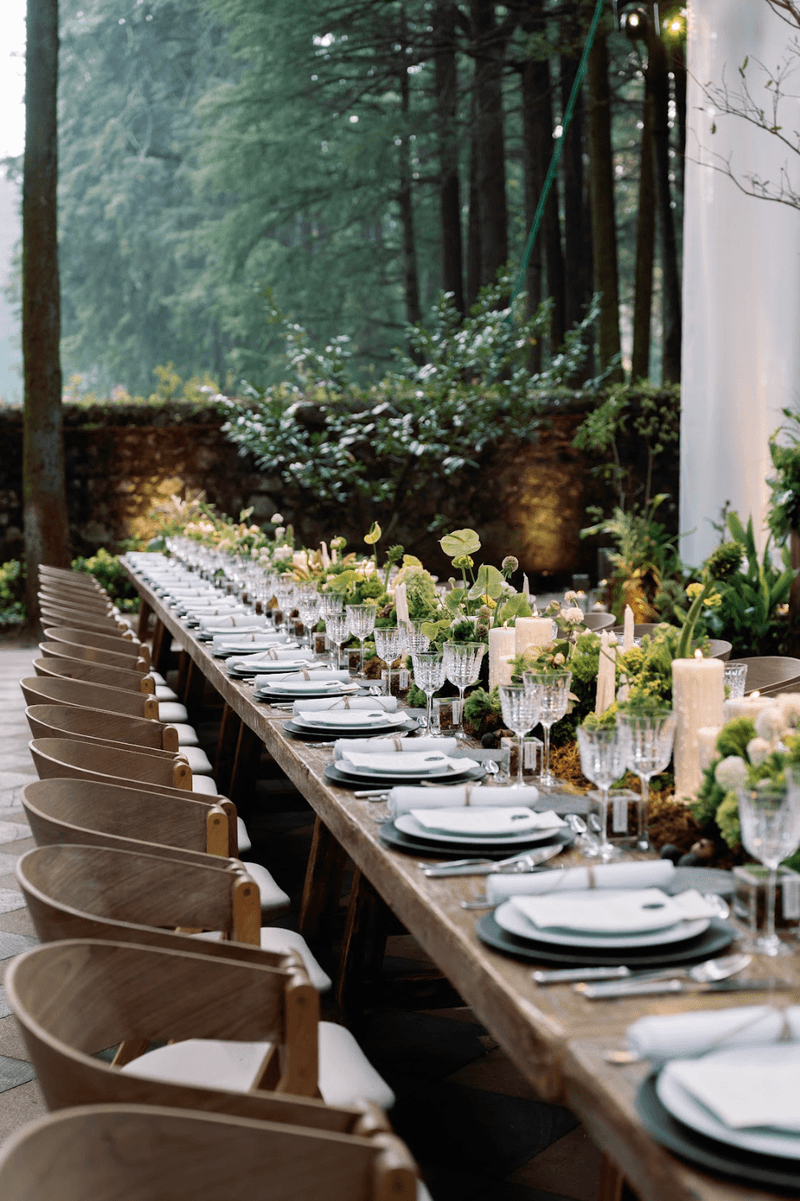 A stylish forest affair where guests met the enchanting embrace of nature.