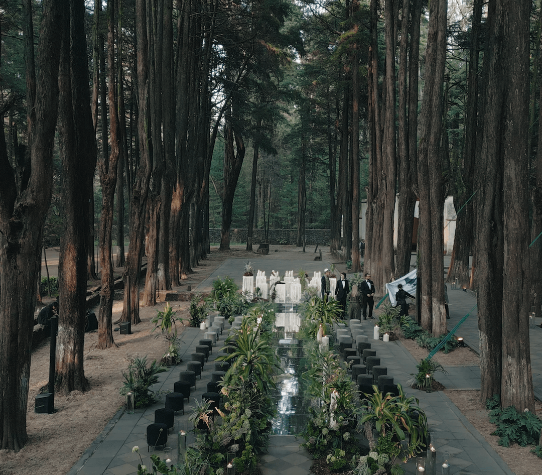 A stylish forest affair where guests met the enchanting embrace of nature.