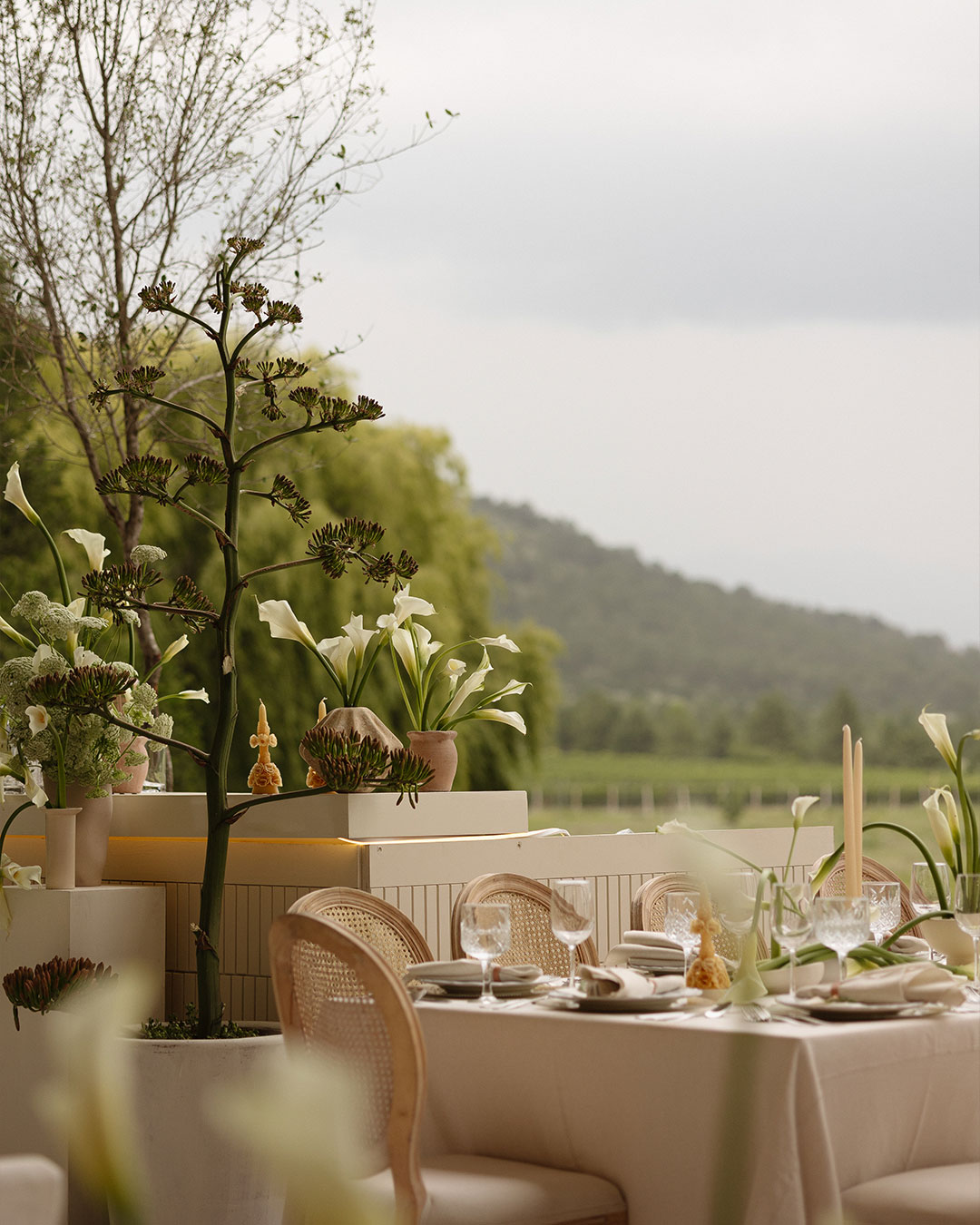Handcrafted Love at the Vineyard
Where the raw beauty of Coahuila’s vines meets intentional design. We’ve curated a space of minimalist florals and bespoke details to let the landscape, and our love, speak for itself.