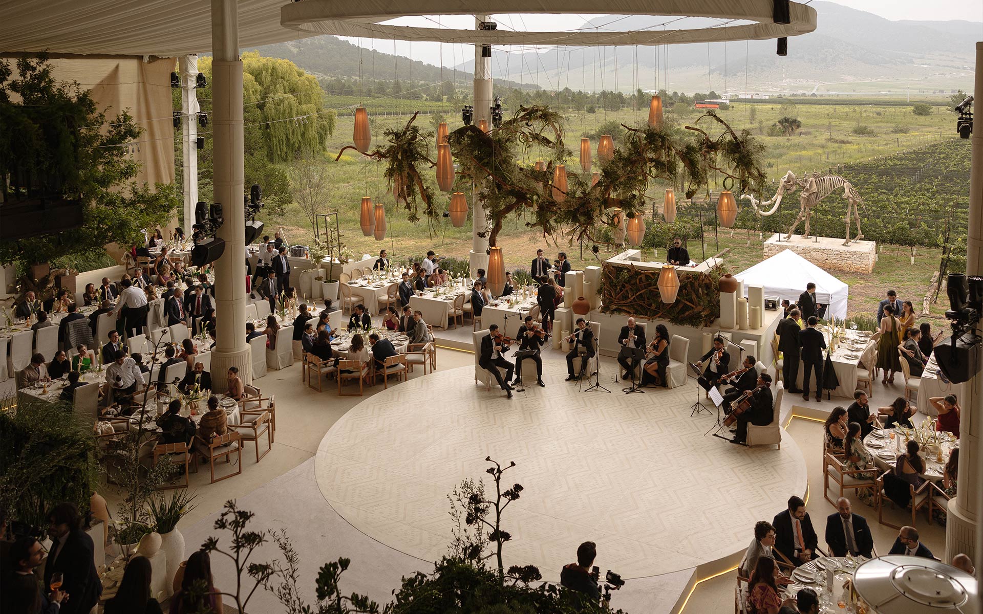 Handcrafted Love at the Vineyard
Where the raw beauty of Coahuila’s vines meets intentional design. We’ve curated a space of minimalist florals and bespoke details to let the landscape, and our love, speak for itself.