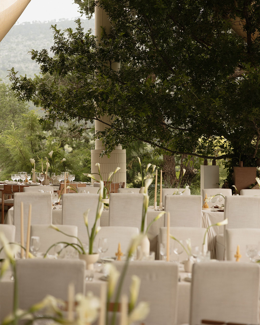 Handcrafted Love at the Vineyard
Where the raw beauty of Coahuila’s vines meets intentional design. We’ve curated a space of minimalist florals and bespoke details to let the landscape, and our love, speak for itself.