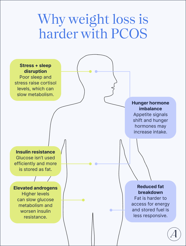 Why weight loss is harder with PCOS