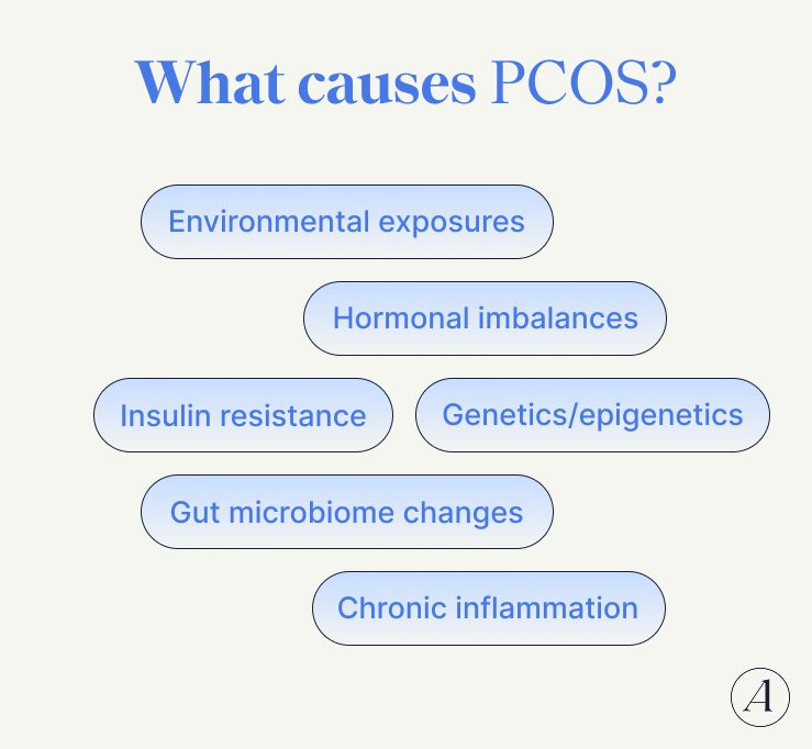 What causes PCOS?