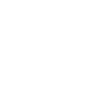 White WordPress logo on a transparent background.