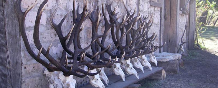 Estancia Sihuen, Patagonia, Argentina